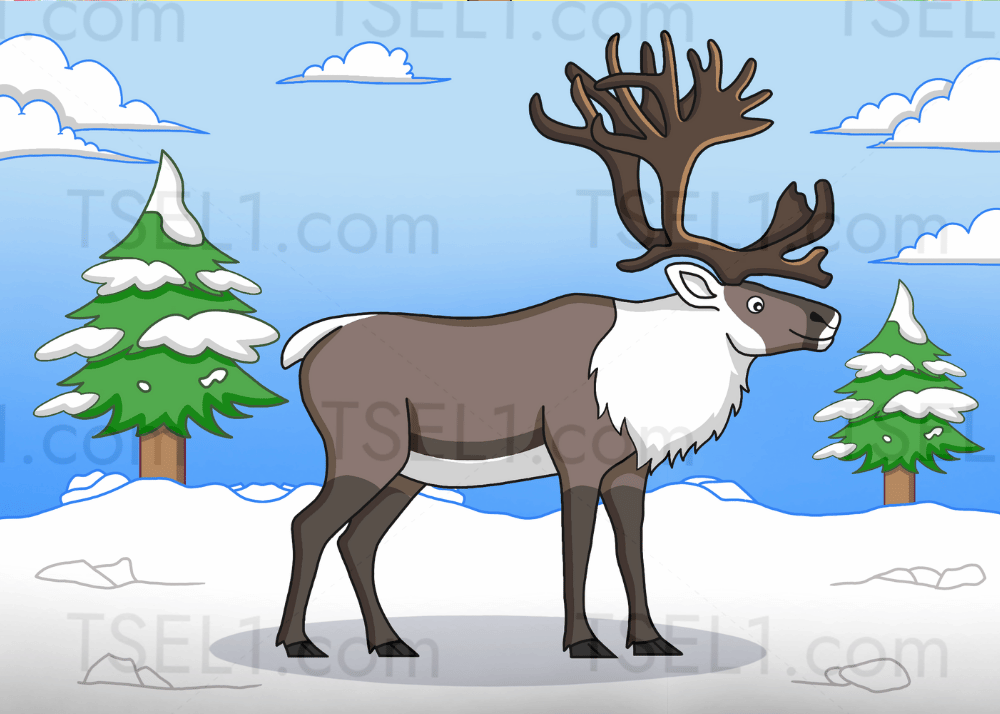 Svalbard Reindeer 7x5.png