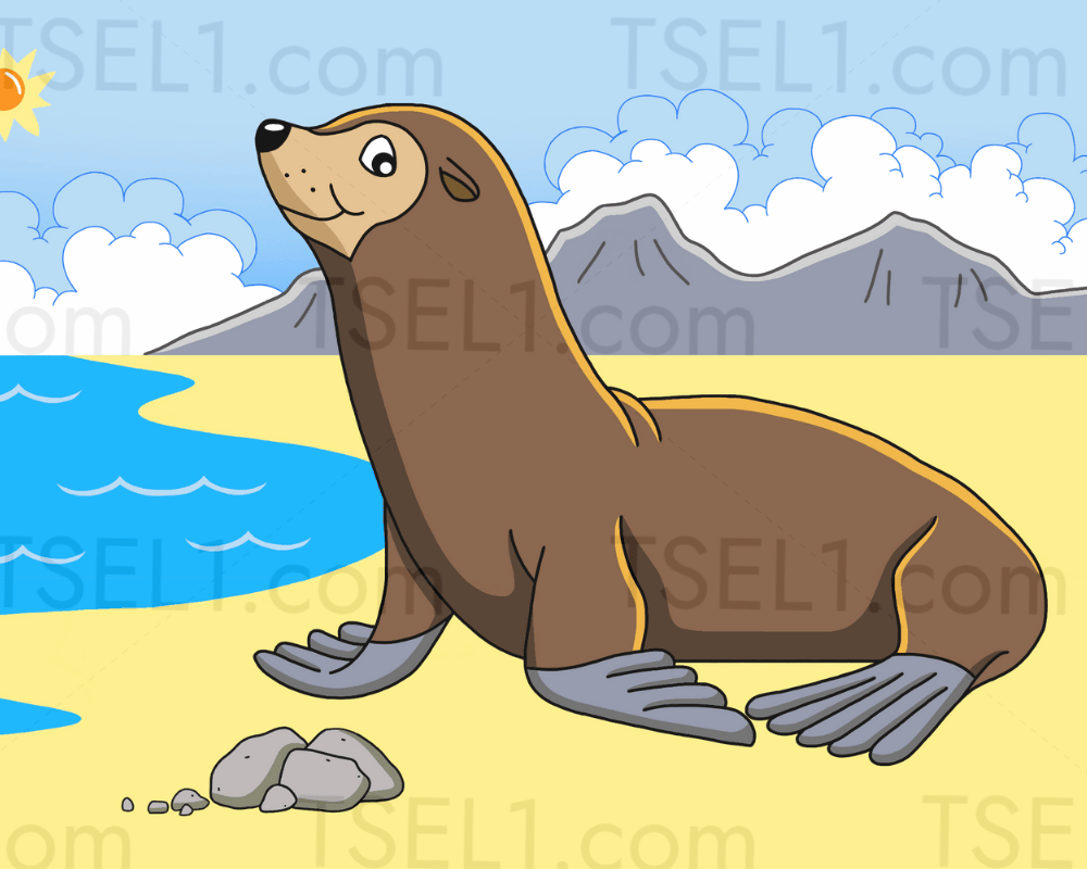 California Sea Lion 10x8.png
