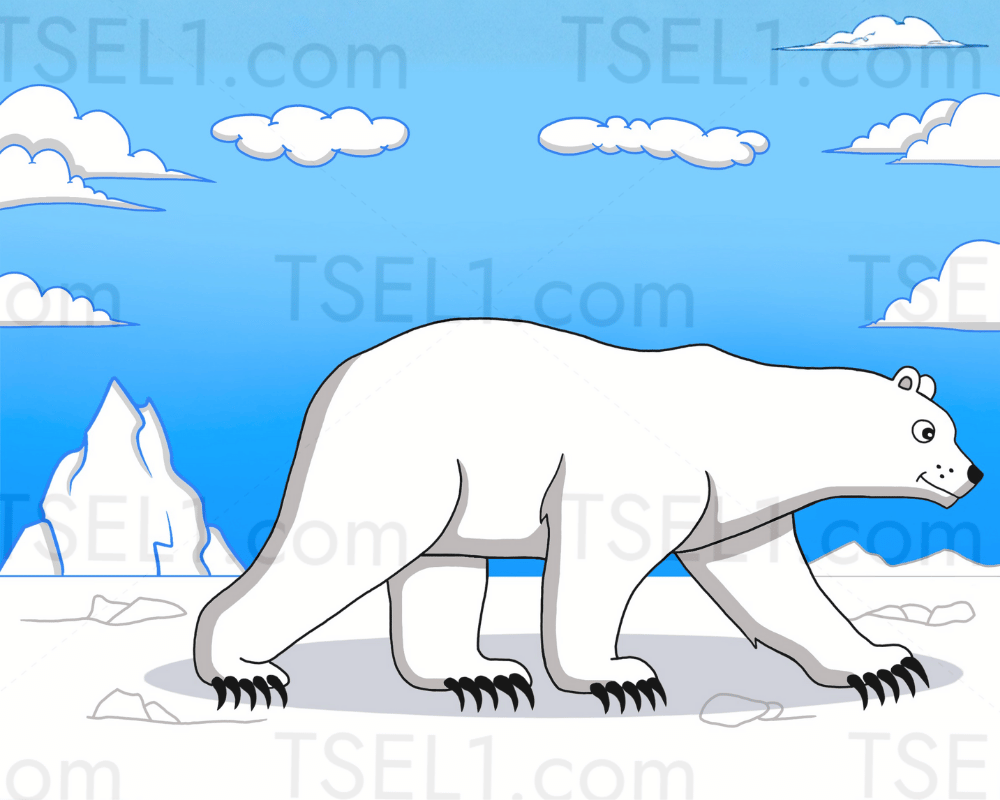 Polar Bear 10x8.png