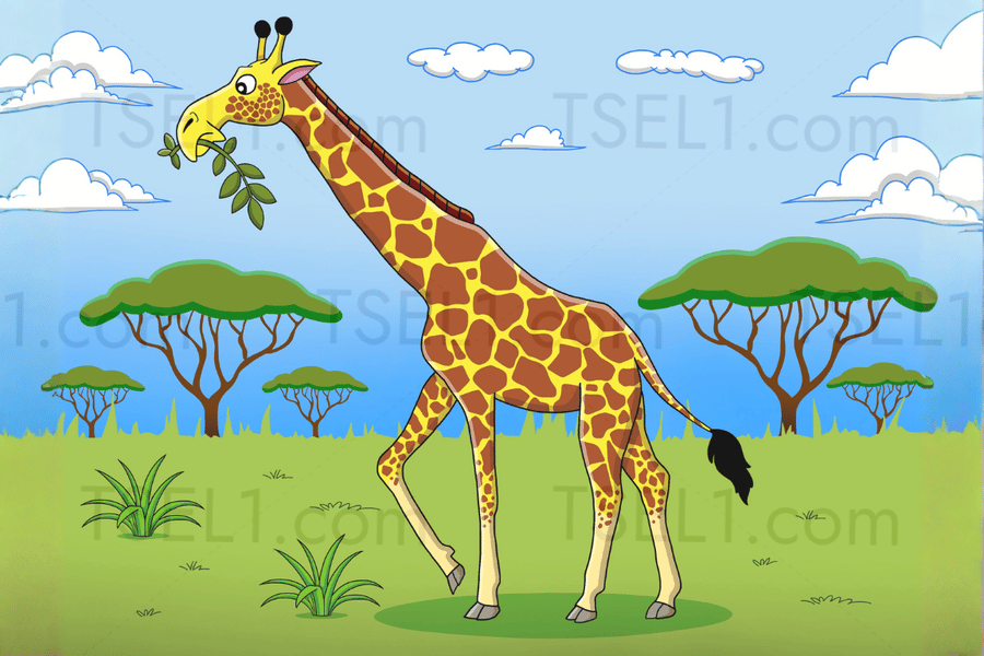 Reticulated Giraffe 6x4.png