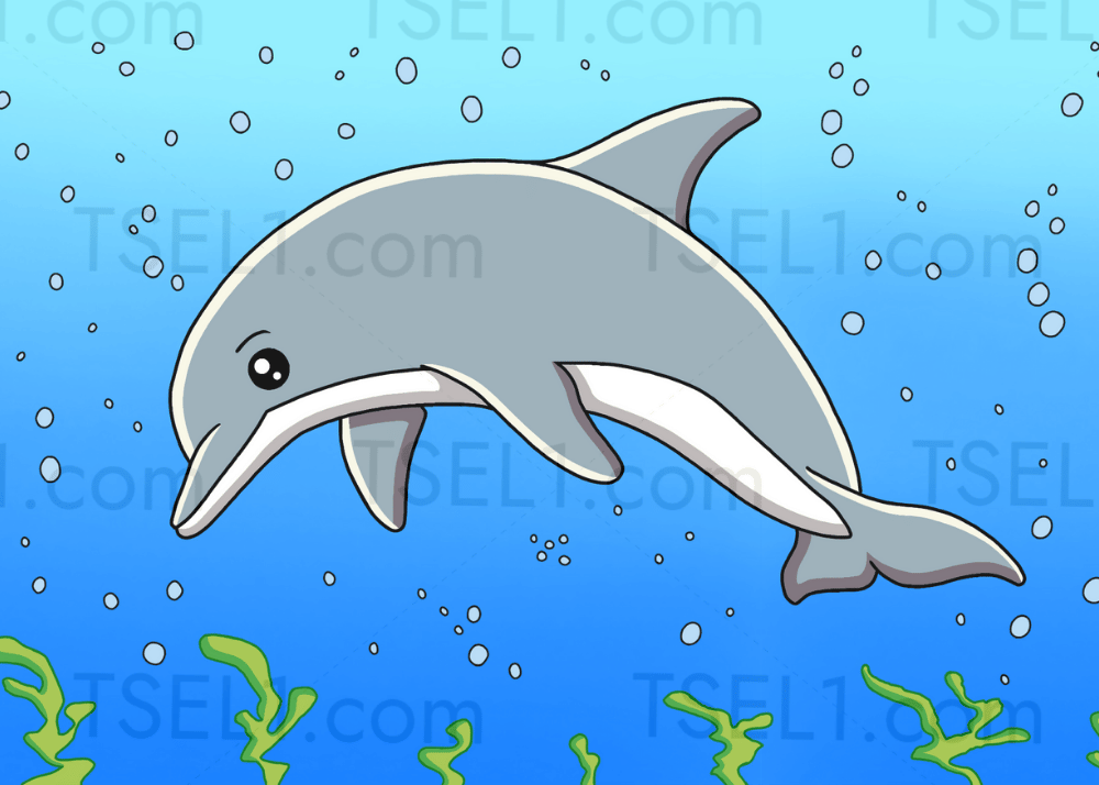 Bottlenose Dolphin 7x5.png