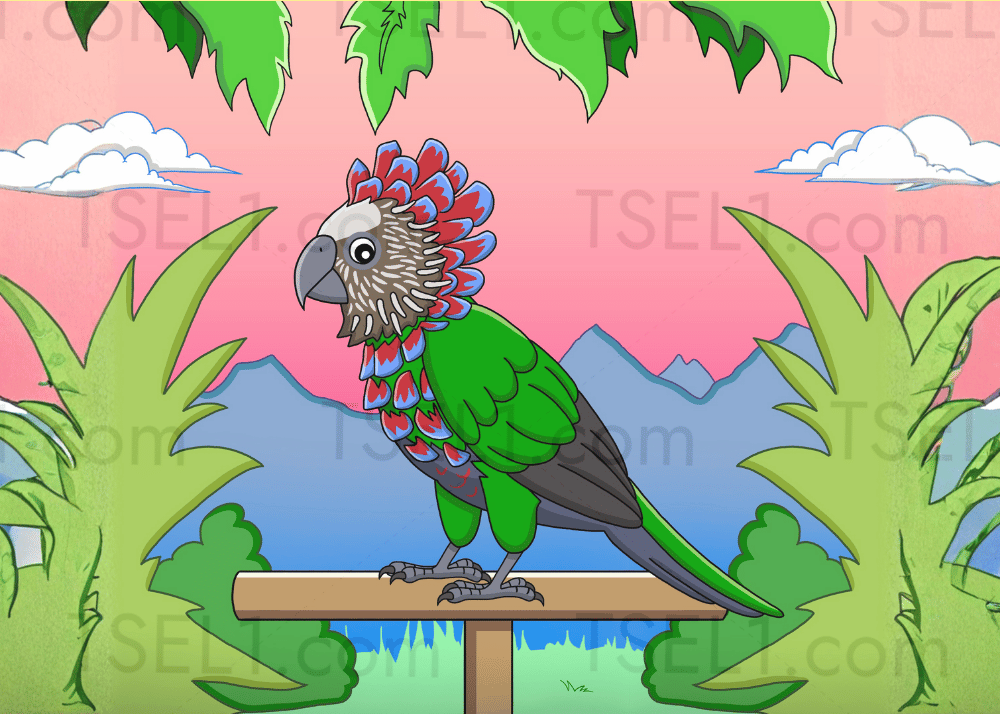 Hawk-headed Parrot 7x5.png
