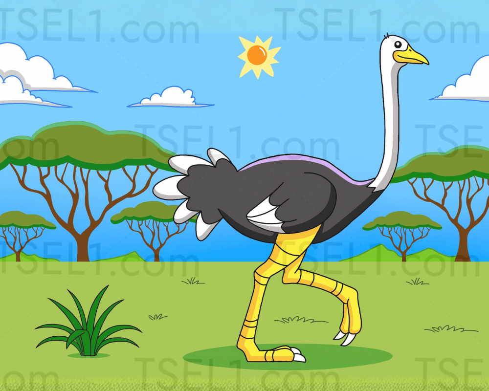 Ostrich 10x8.png