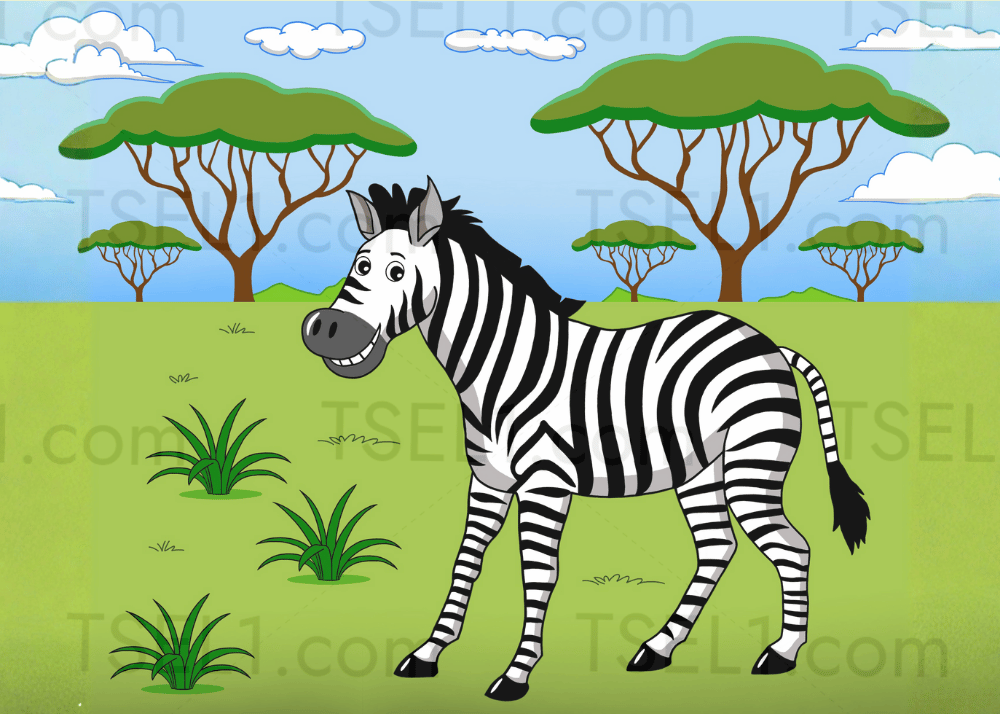 Plains Zebra 7x5.png