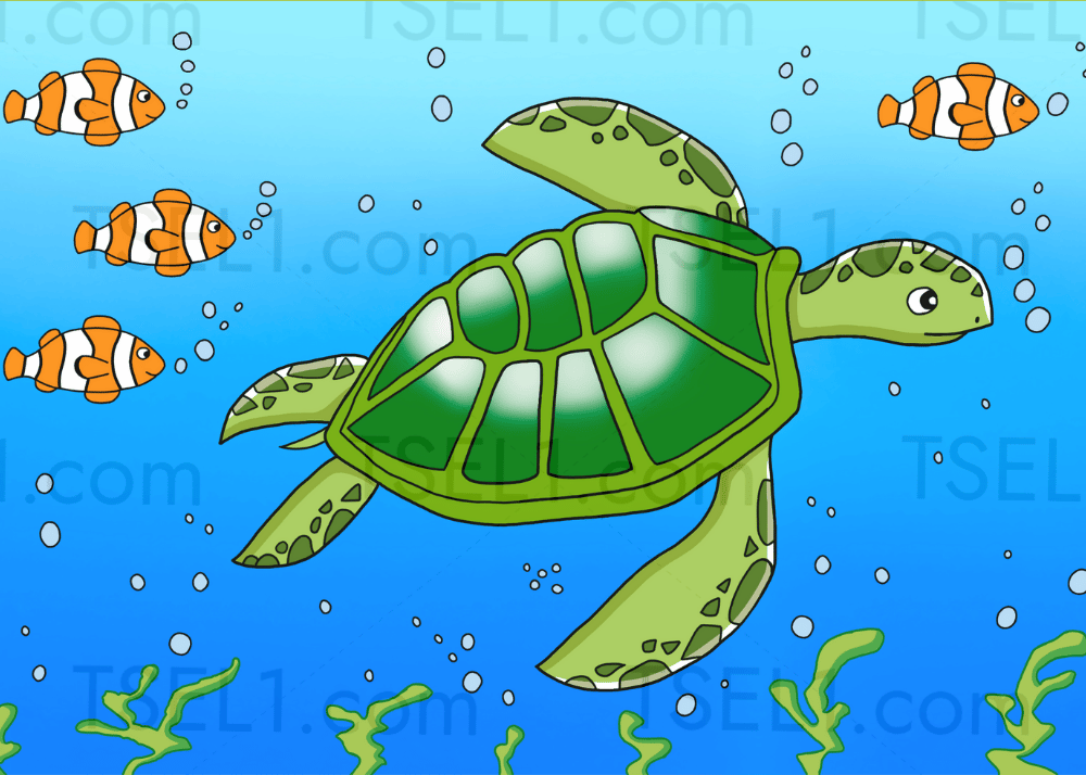 Green Sea Turtle 7x5.png