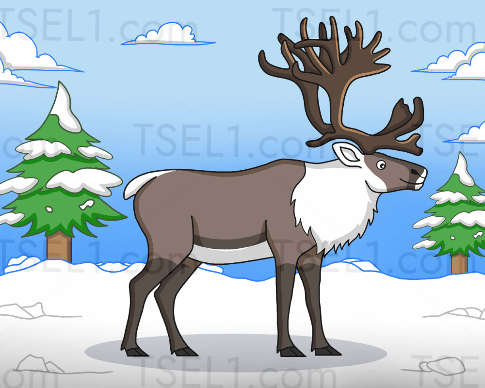 Svalbard Reindeer 10x8.png