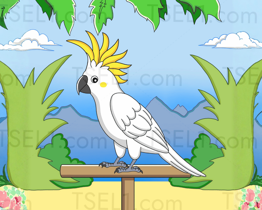 Sulphur-crested Cockatoo 10x8.png