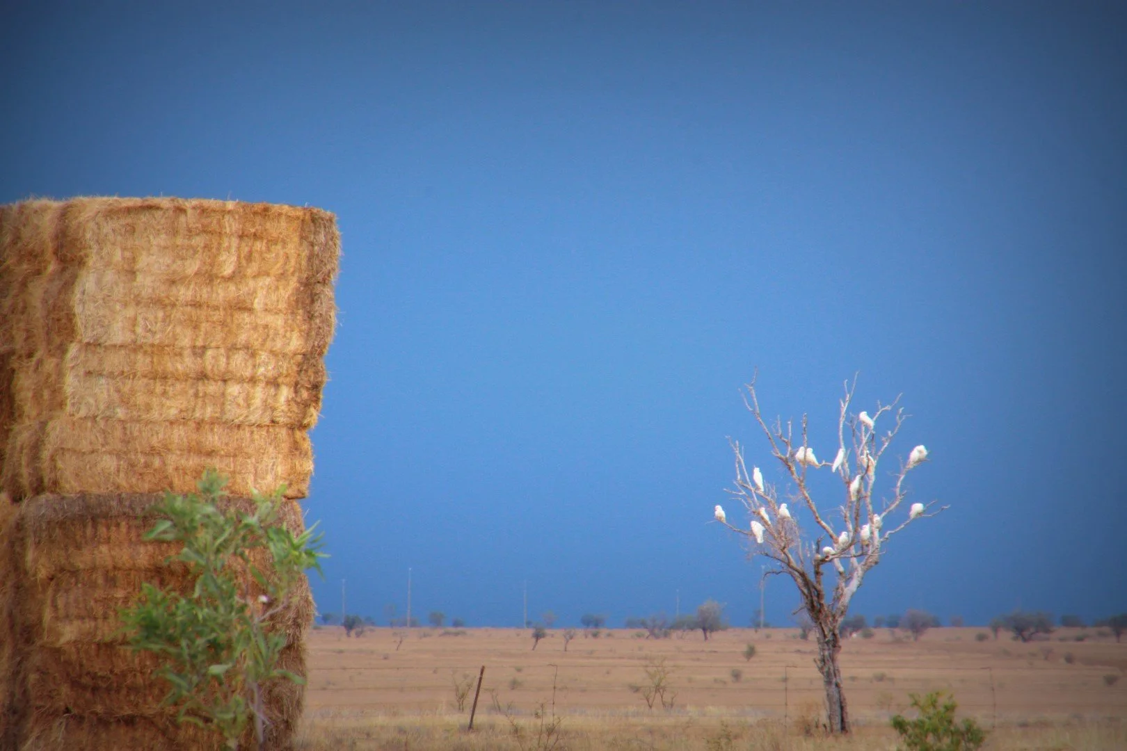 Stamping Out Duty for Farming Families