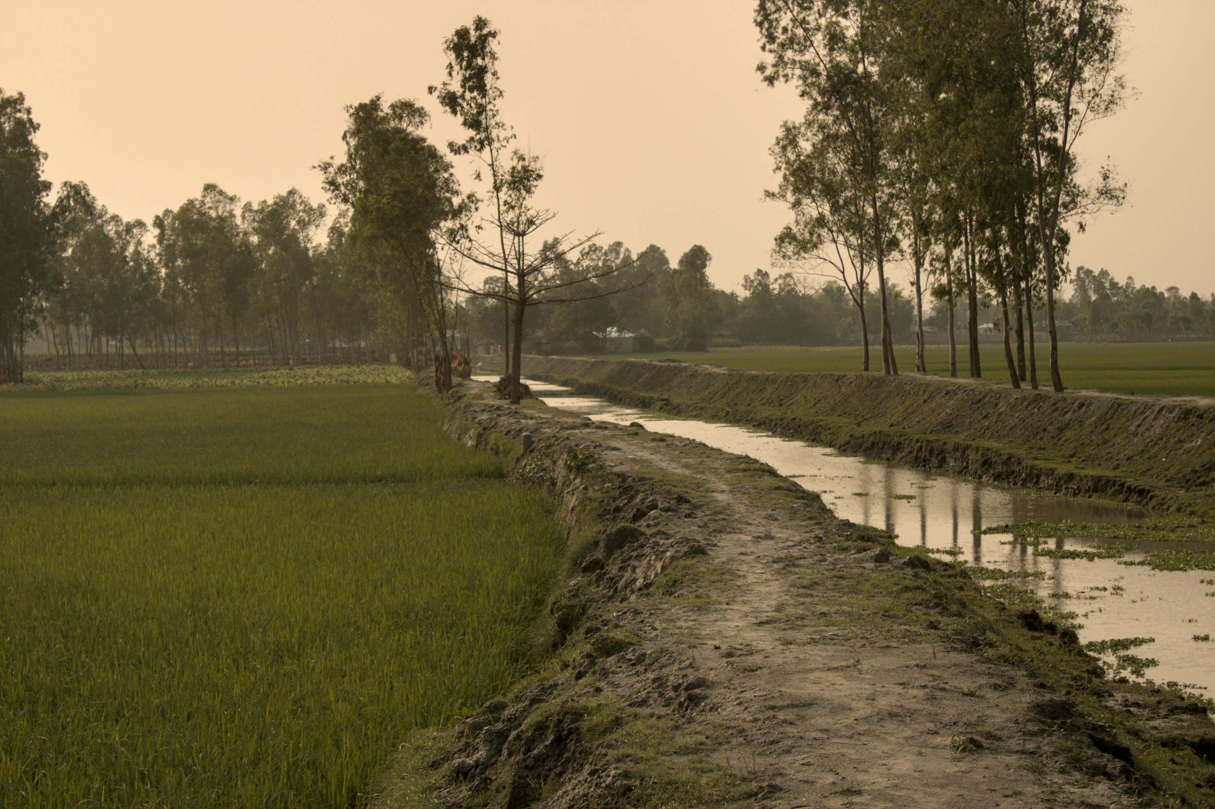 Water Diversion Results in a Successful Private Nuisance Claim