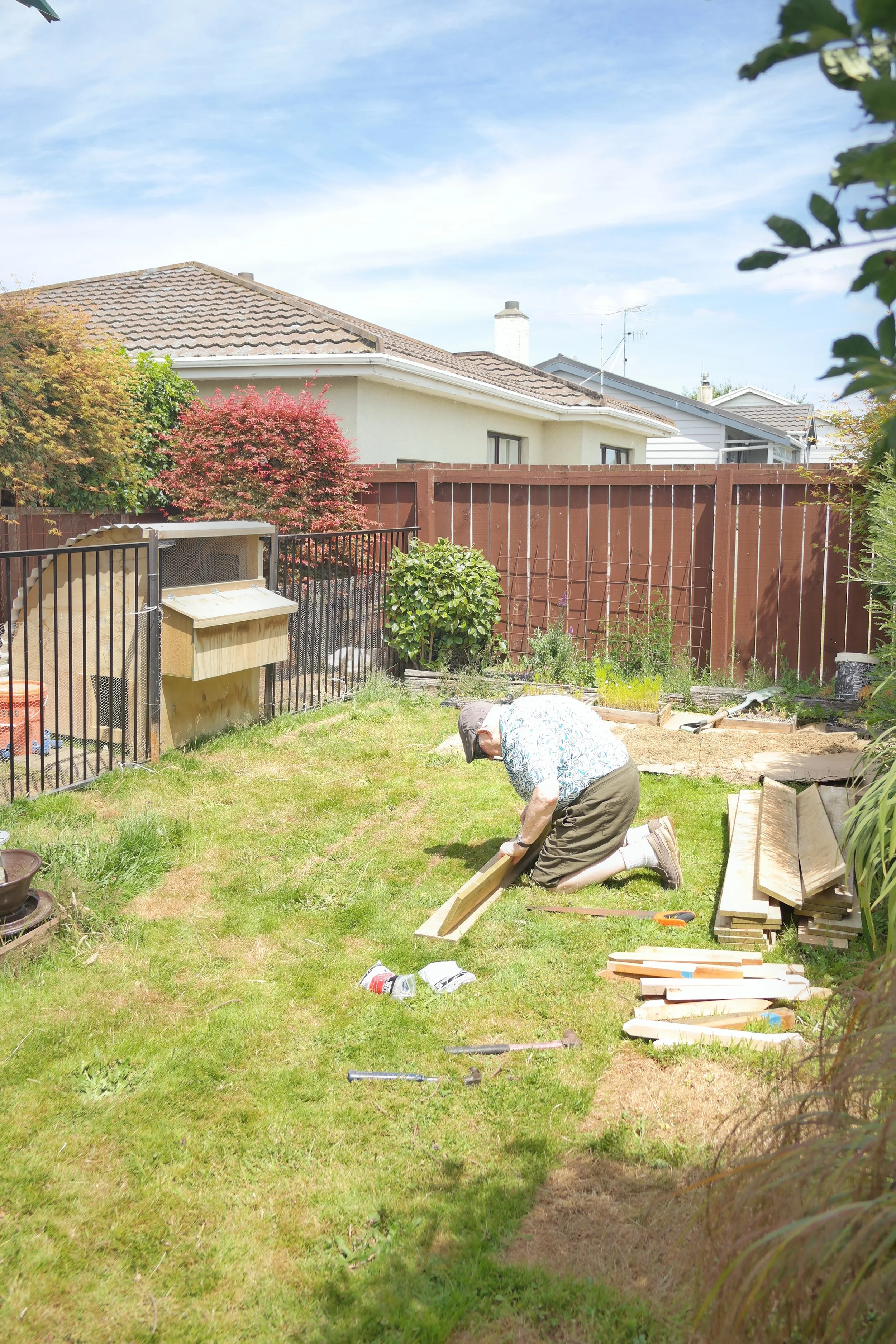 breaking the lawn.JPG