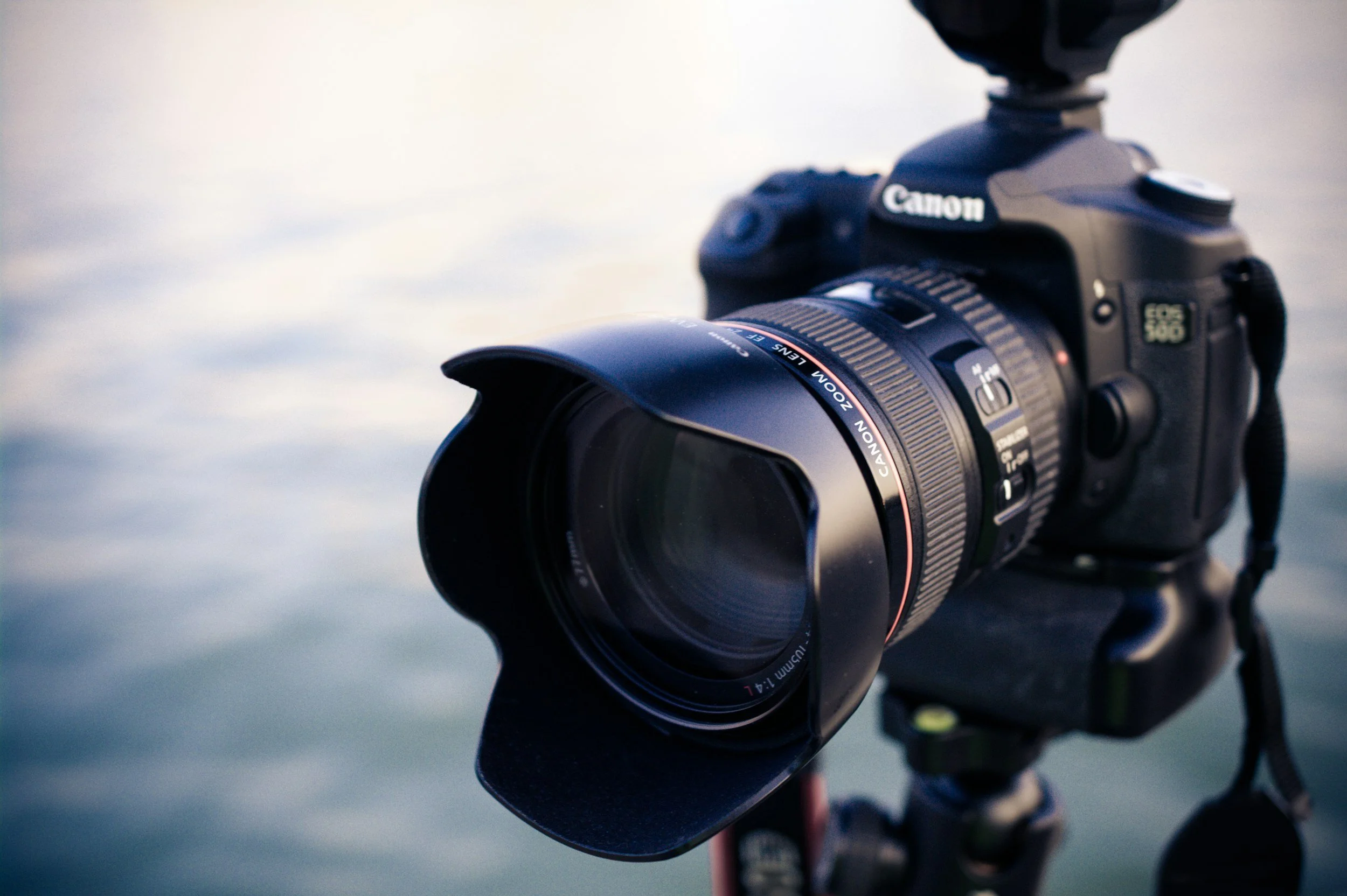 Seattle Real Estate Photography Tips for Spring Listings