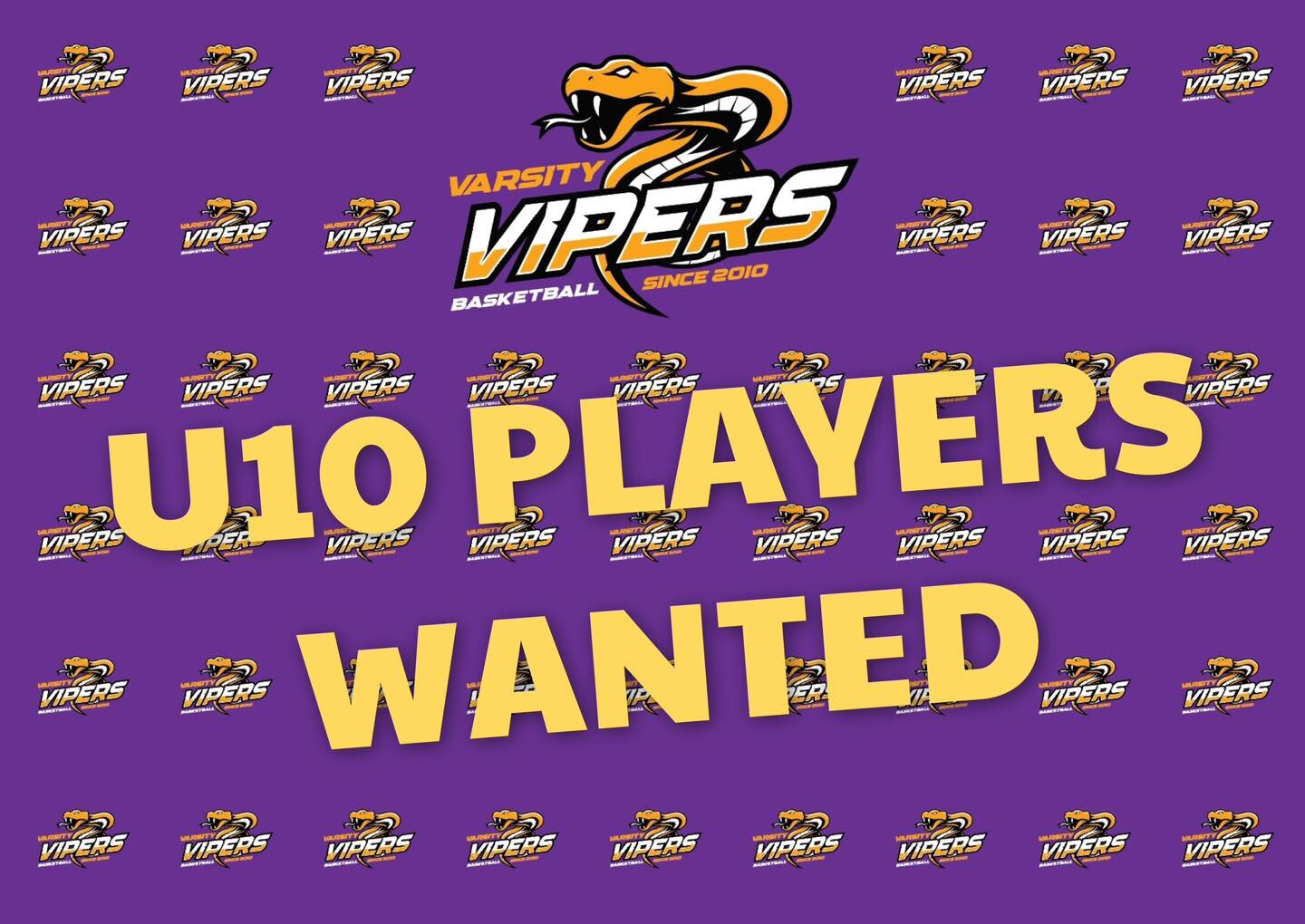 U10 PLAYERS WANTED! 🏀

We&rsquo;re looking for 1 or 2 players to join our u10 Winter Competition Boys team 🏀

If interested please email us at: info@varsityvipers.com.au