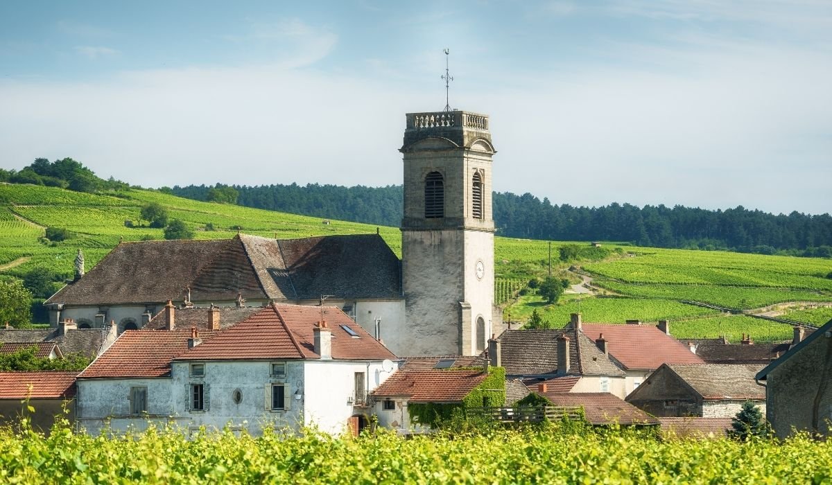 Barge Trip to Burgundy