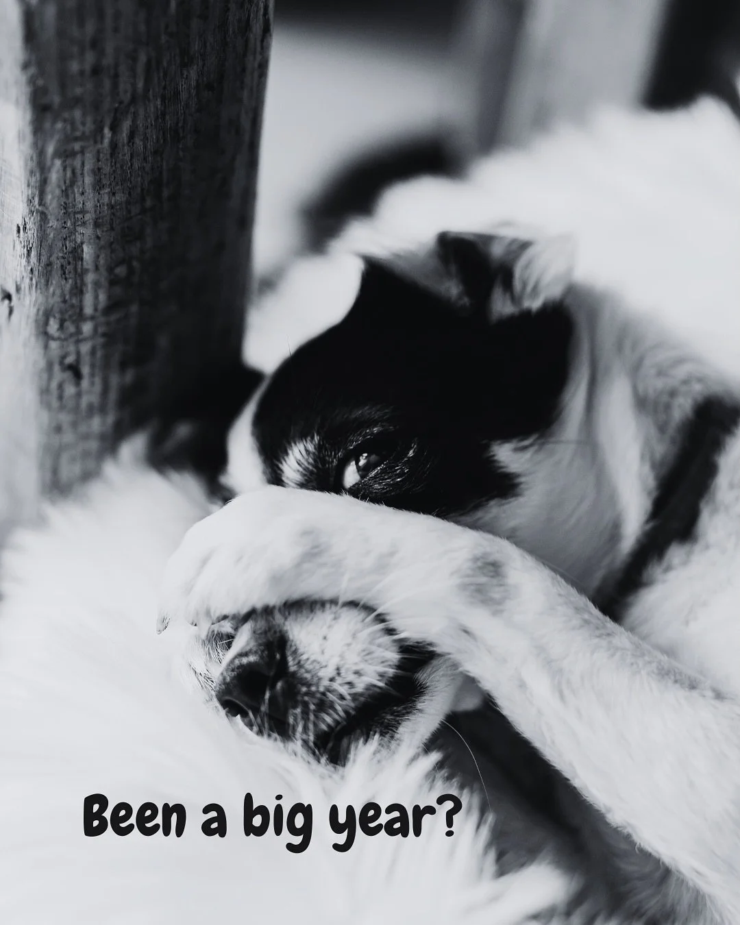 Coming up to end of year-ness, what used to feel simple (or not) can start feeling A LOT more exhausting. So for some clients a post session plan and space to talk it out feels SUPER useful. And yes sometimes it&rsquo;s less plan more emotional proce