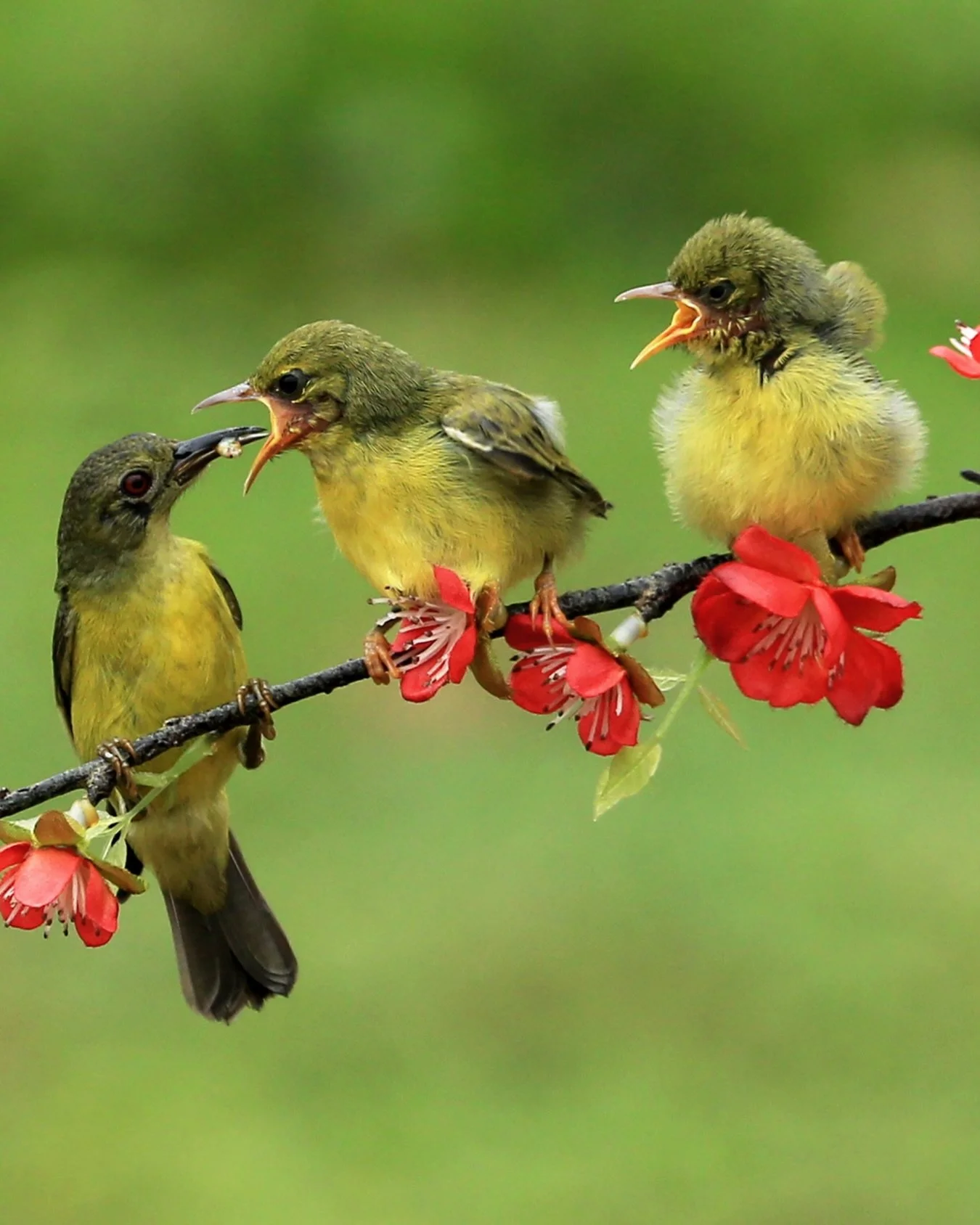 Ughhh the combo of being overstimulated, busy &amp; overwhelmed with things to do&hellip; then a wave of feeling stuck frozen with decision fatigue stops you doing ANY of it. 

Familiar? Need help with it? Over the overwhelm? I have space here for yo