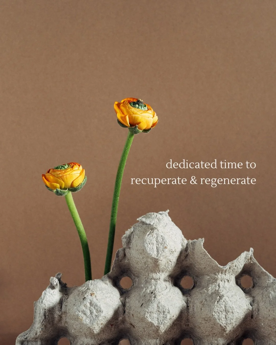 A supported space to breathe when it&rsquo;s all feeling a lot. And to piece through it all. At your pace. 

Weekdays via Telehealth for ease of access especially if your super tired and venturing out feels too much. 

Reach out if you need 

Bec 🧚&