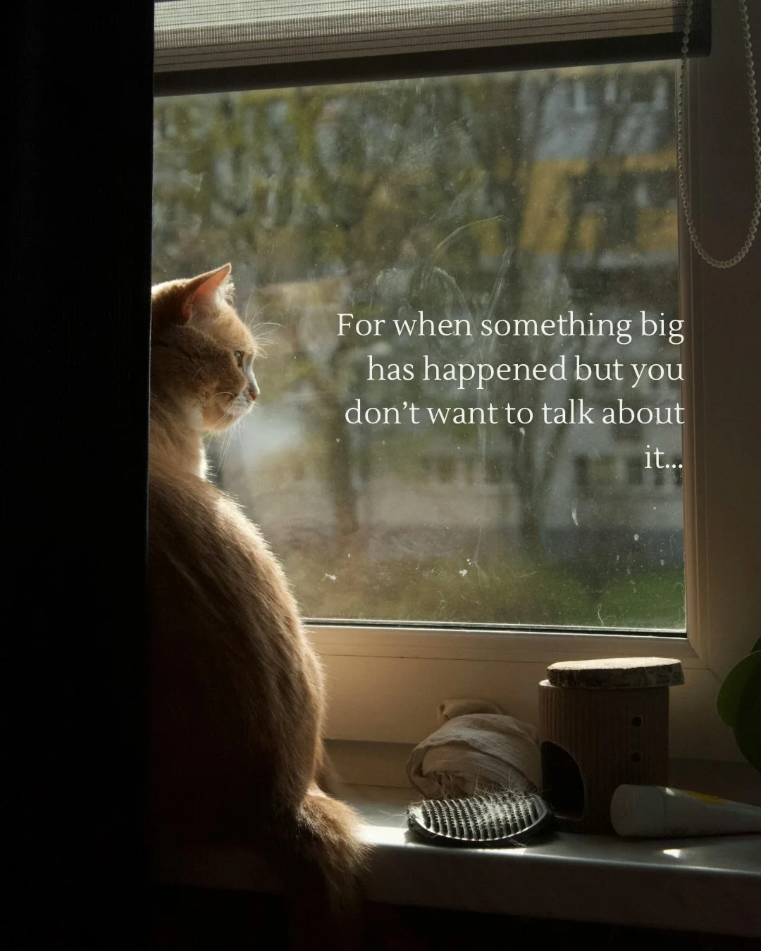 Some things just take longer to bring up and talk about. And sometimes it&rsquo;s about building up inner resources and connection before you do. And that&rsquo;s totally OK. In fact it&rsquo;s quite wise. 

Take your time and move into things when i