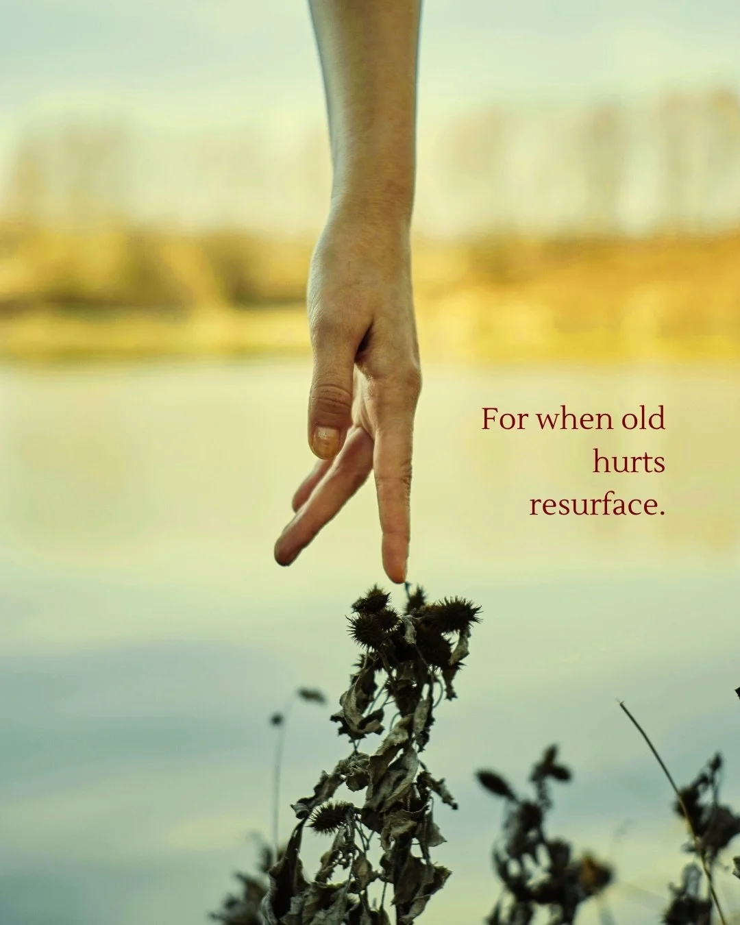 Sometimes it takes longer than we thought it would. To process, to heal, to move forward. And that&rsquo;s ok here. 

🫶🏼 

Call or email me today to book a free intro call for this week.