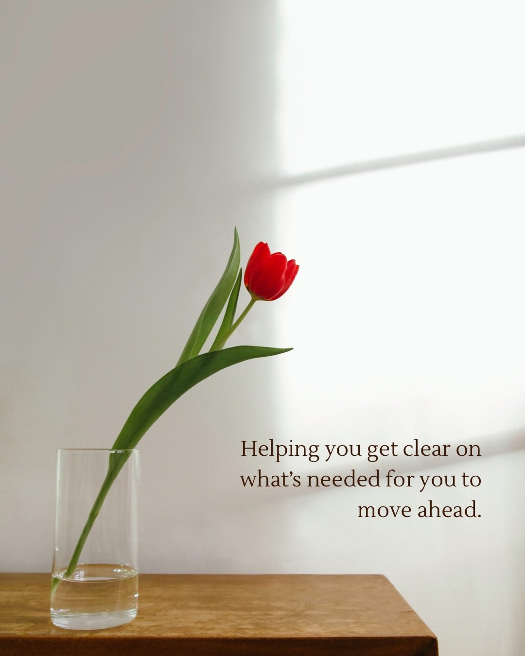 A space for you is here to bring what you need to talk through and what your hopes and wishes are too. Because they matter as well as the tricky bits 🌷

In-person in Bermagui and Dalmeny and online available to be booked in the upcoming weeks.

See 