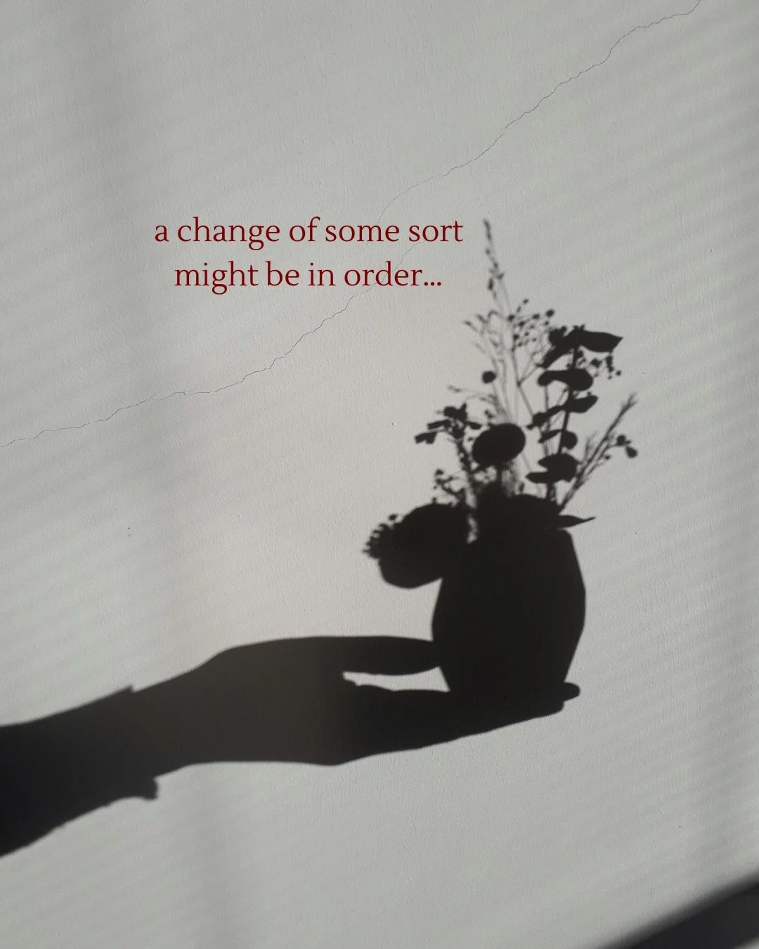 A space to sit and be still. To wait and wonder about all the change you might be facing soon. To be held supportively in the uncertainty that can come with this. 

Telehealth therapy appointments with me wherever you are &amp; in-person on the South