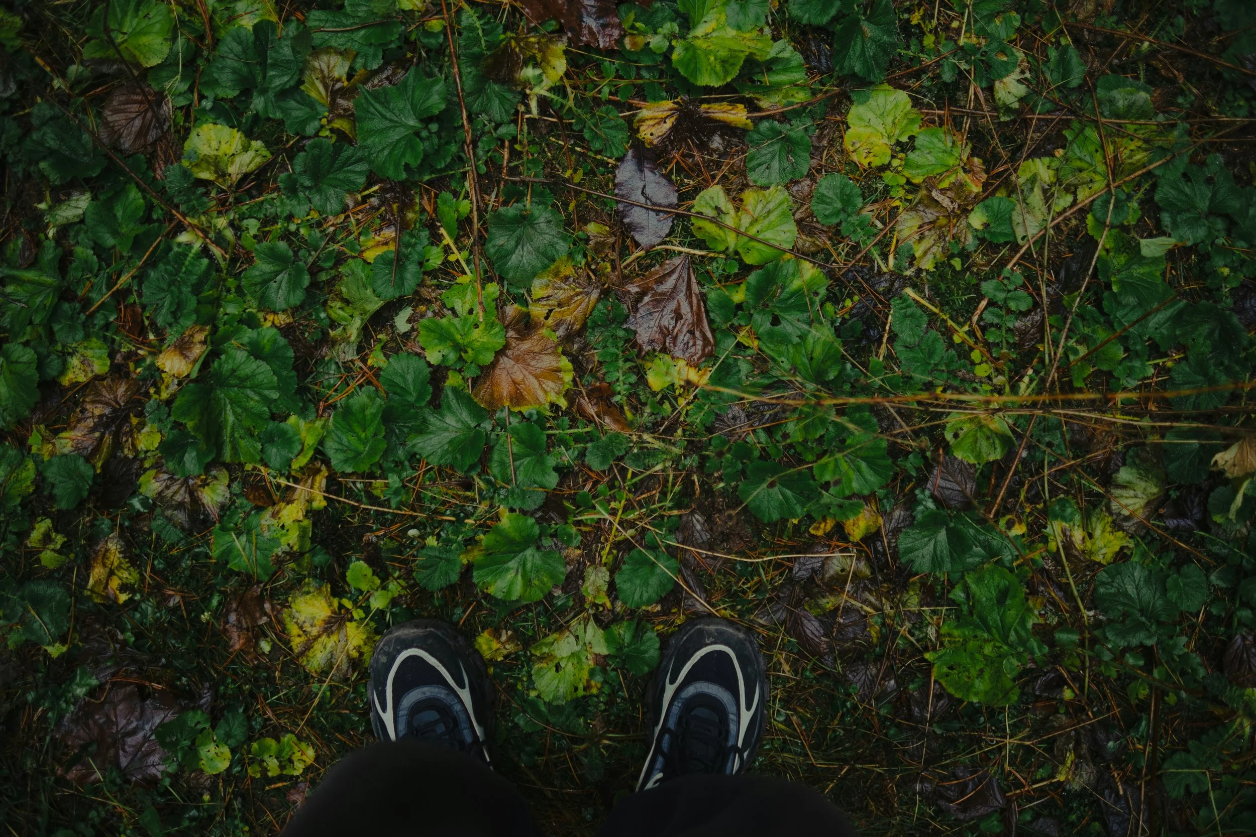 Mindfulness for Hard Times