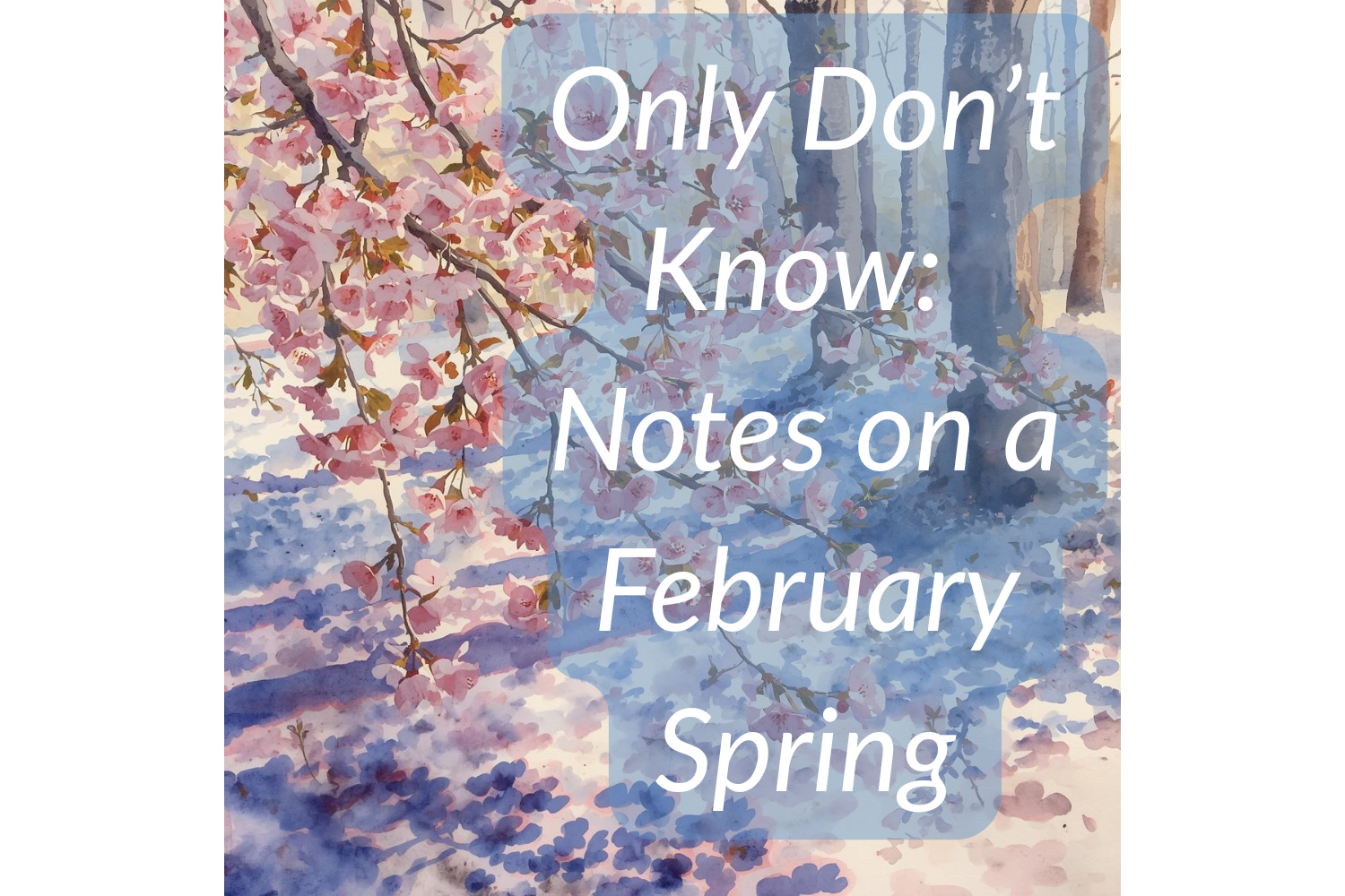 Only Don’t Know:                      Notes on a February Spring