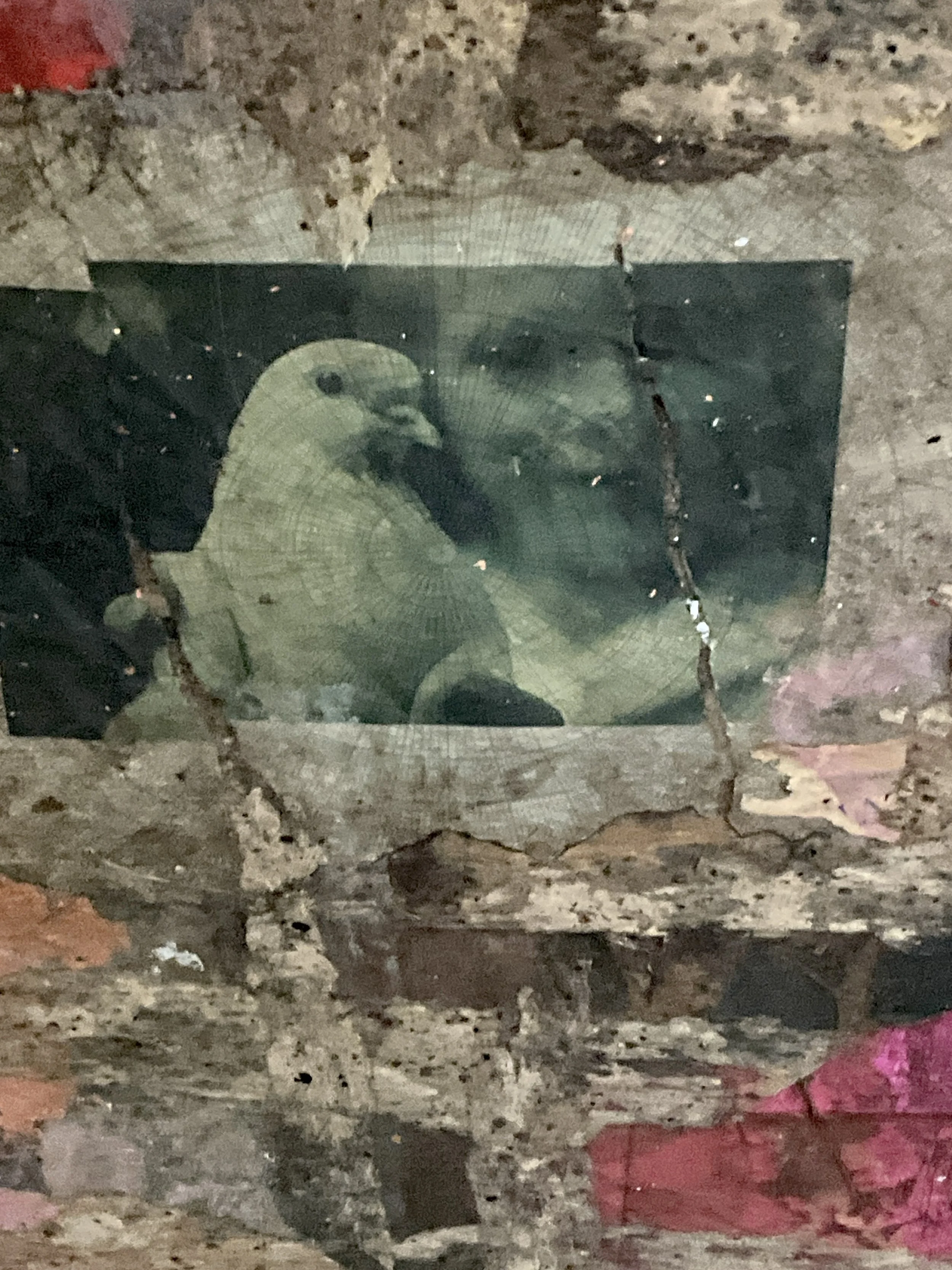 IMG_4509.jpeg