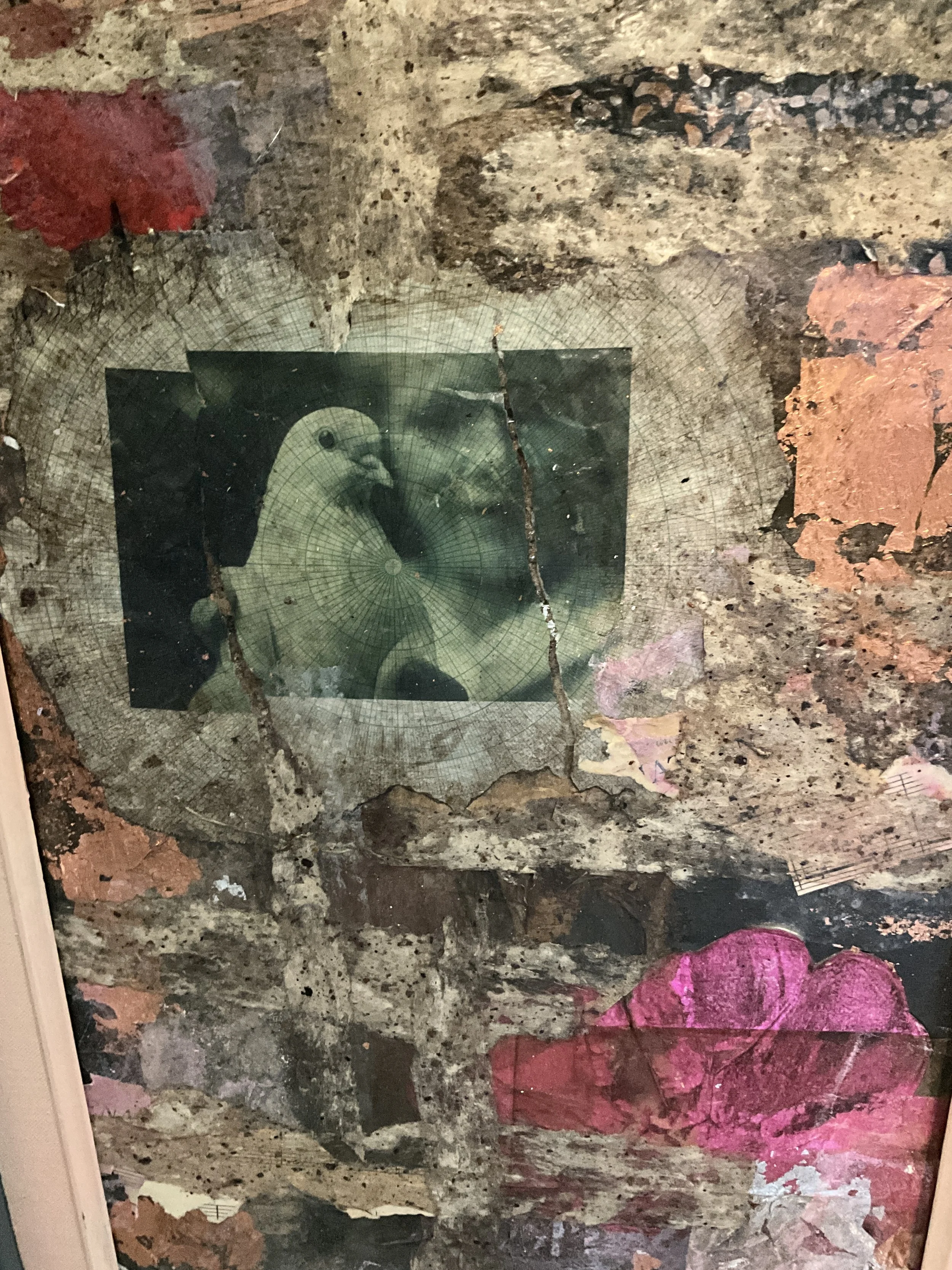 IMG_4508.jpeg