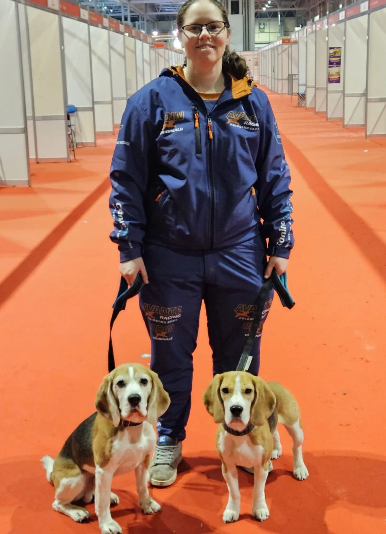 A woman in a blue racing jacket and pants standing on an orange carpet with two beagle puppies on leashes in front of her, inside an indoor exhibition hall at Crufts with her custom flyball and canicross kit by Freerider Apparel