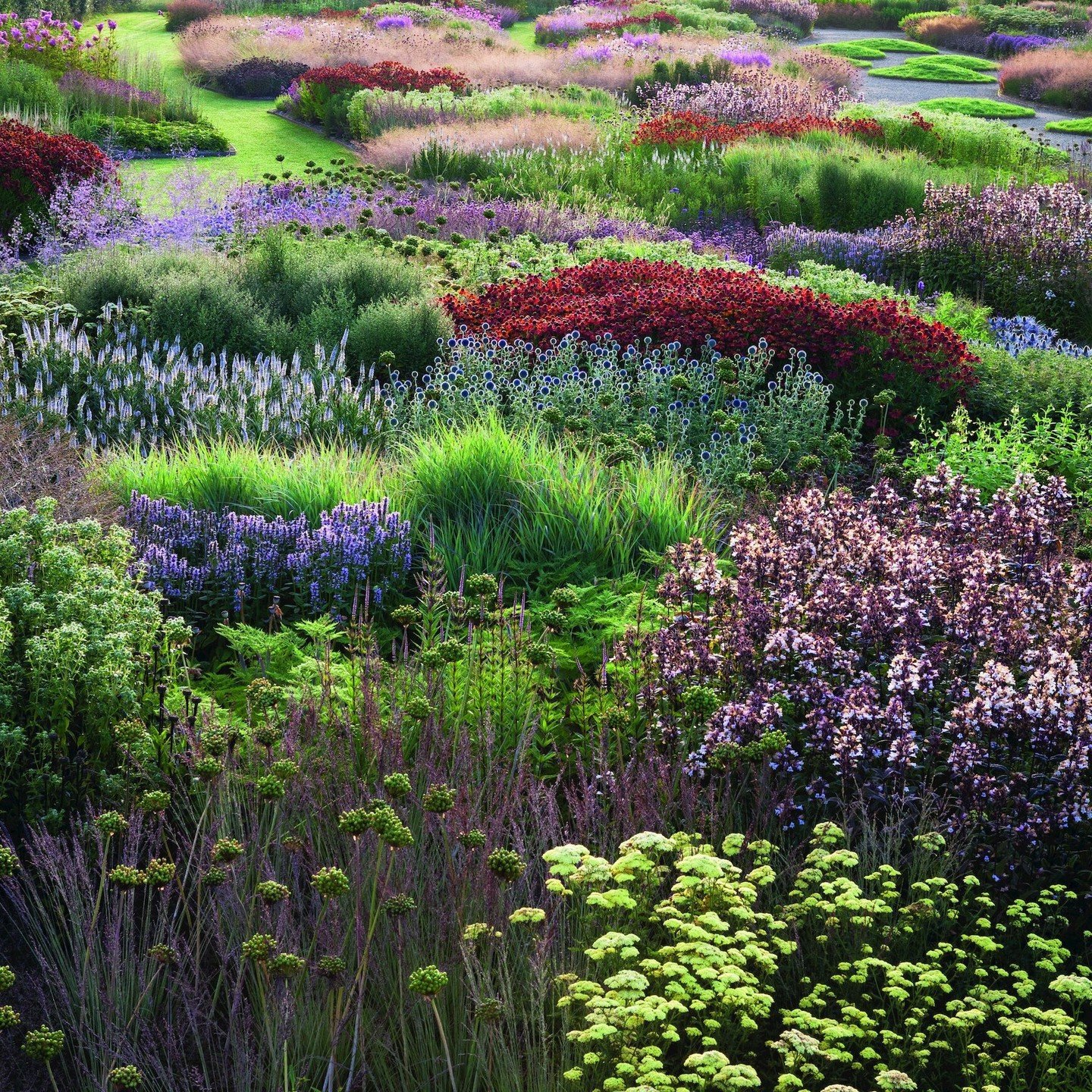 Flowers! There should always be flowers! #kalarararoma #saturdayrelax #flowerphotography🌸 #gardenpics #photooftheday📷 #lushlife