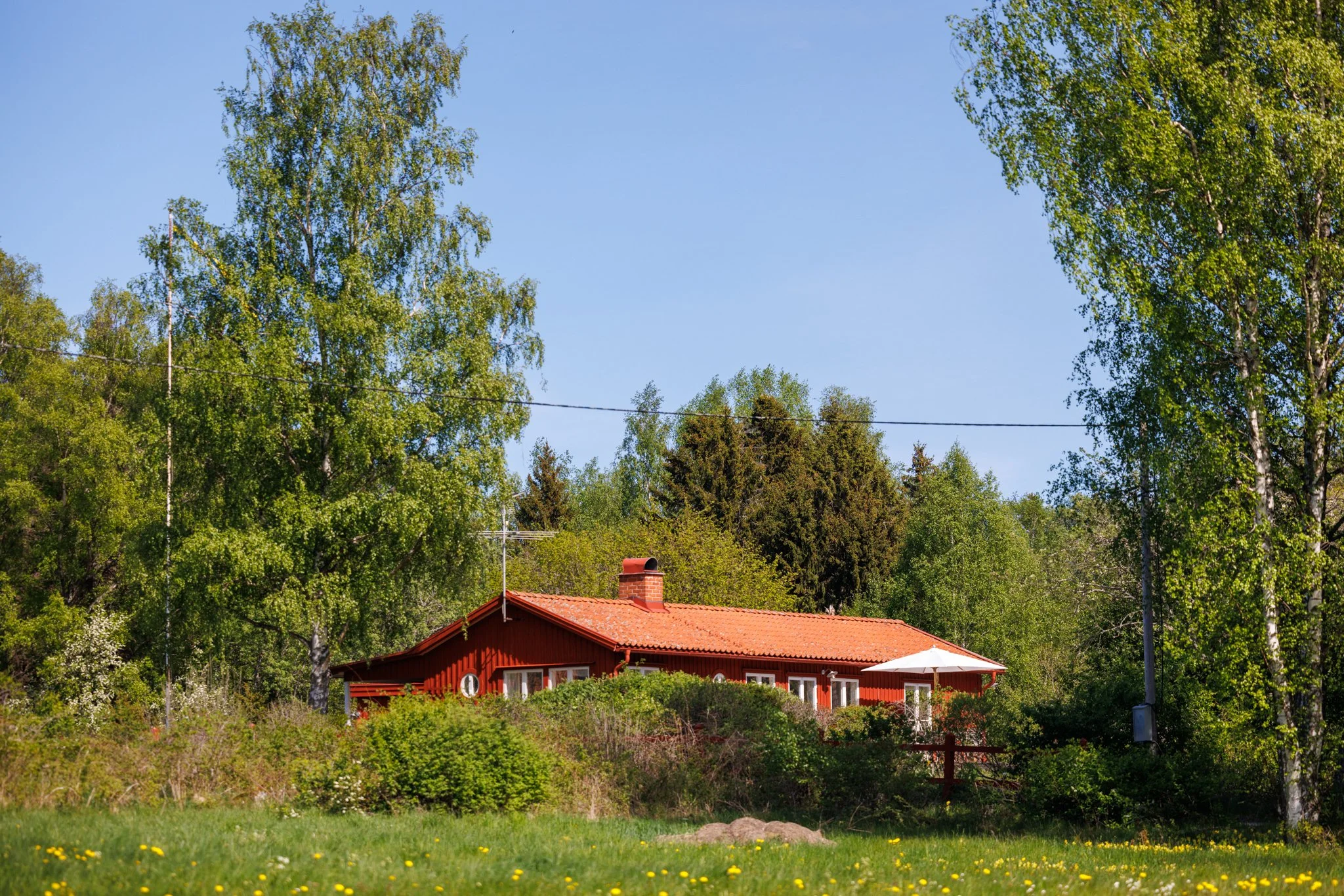R5C27721.jpg