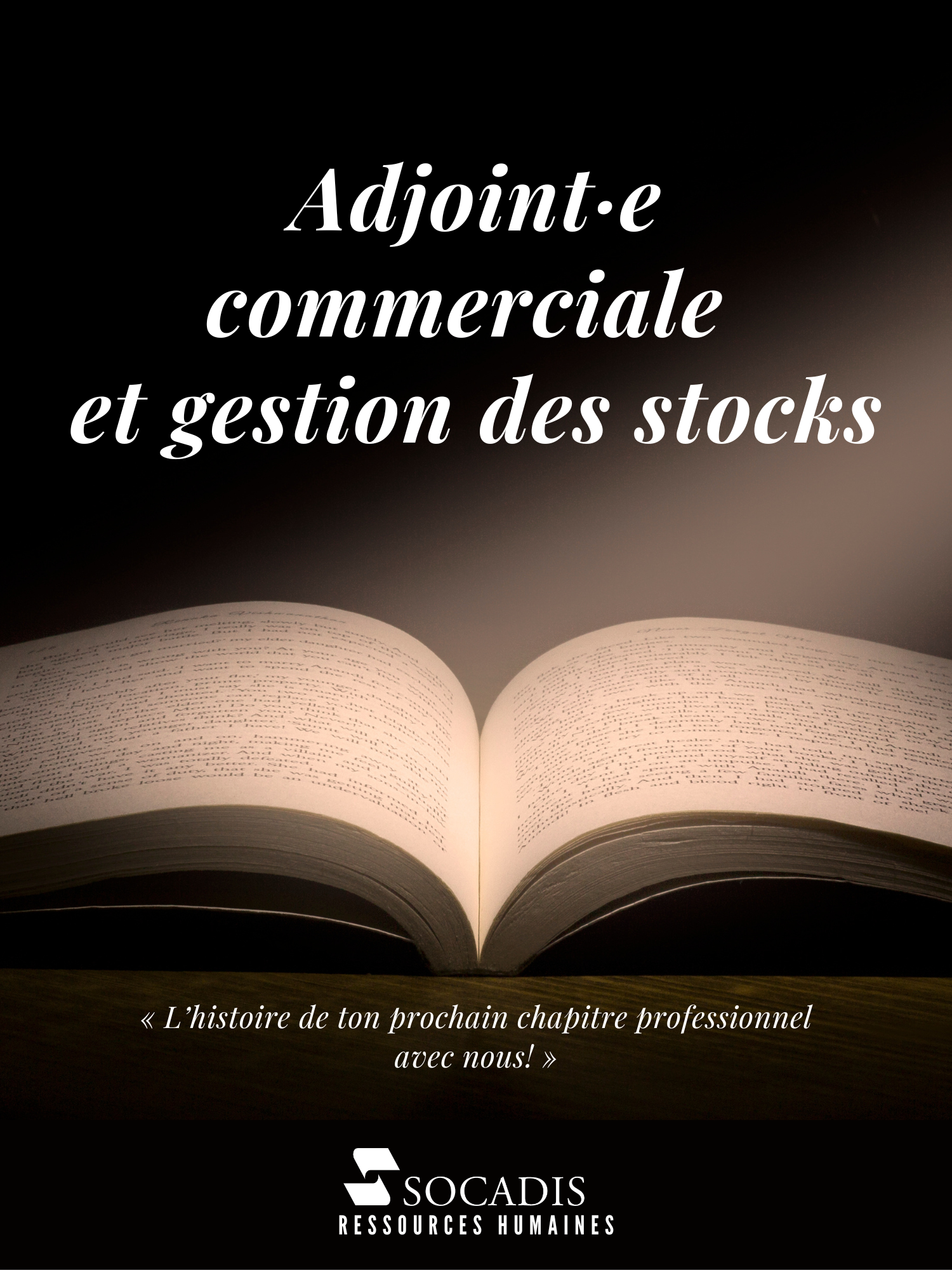 ADJOINT(E) - Commerciale et gestion des stocks