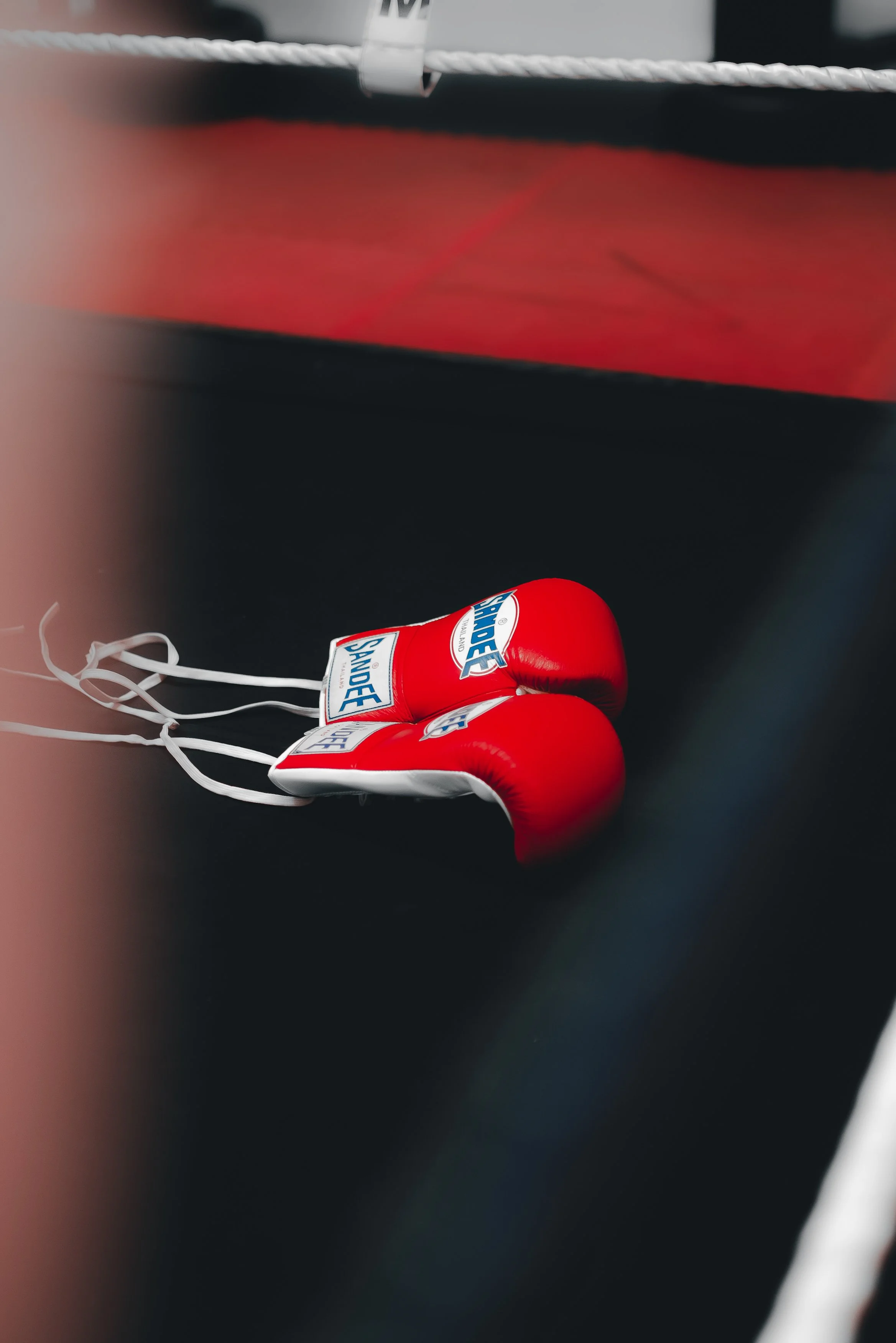 Photo 25-09-2021, 14 29 38.jpg