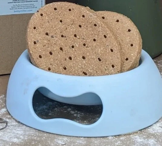 Grain-Free Cheese Big Biscuit