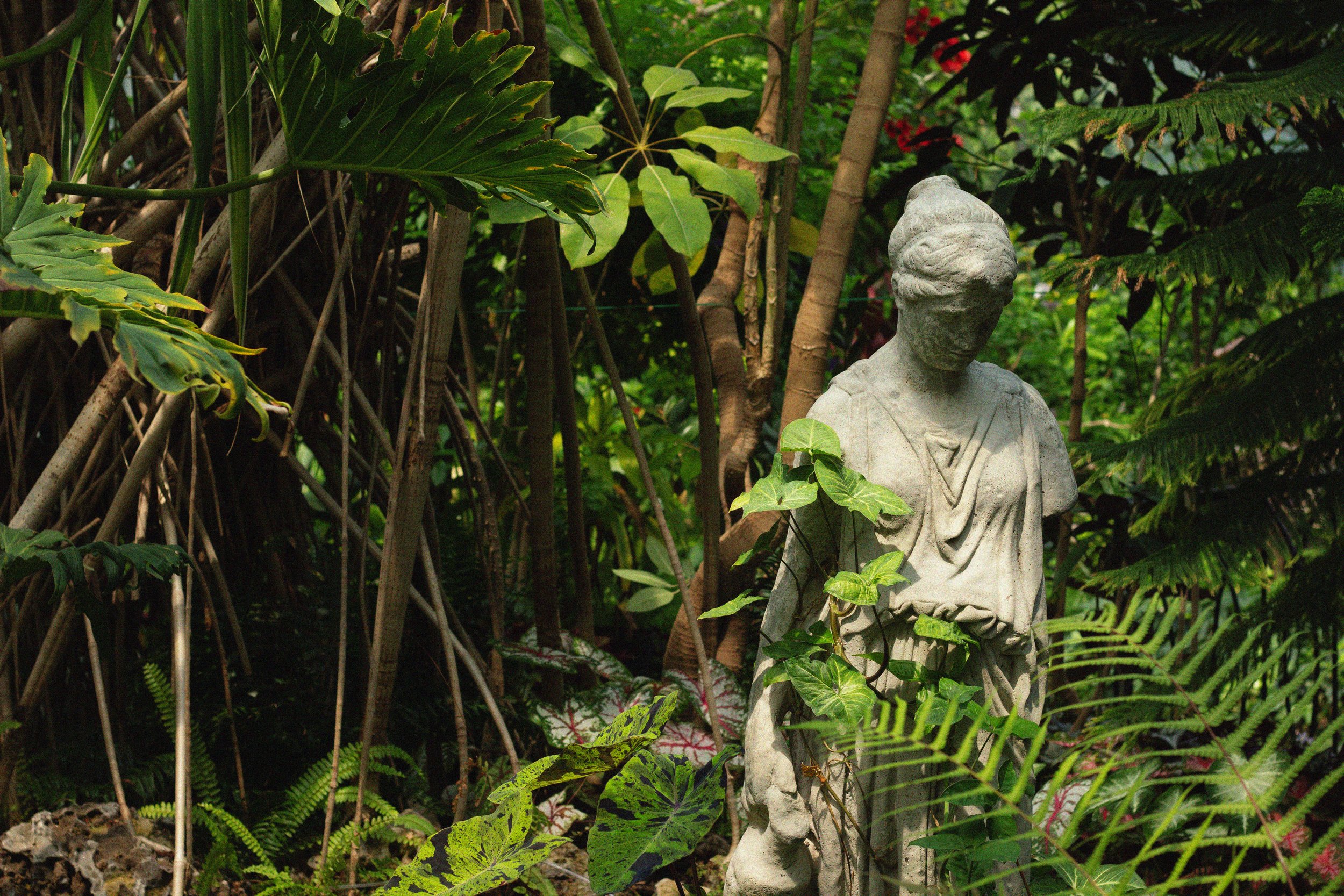 Digital Photograph (2025)
