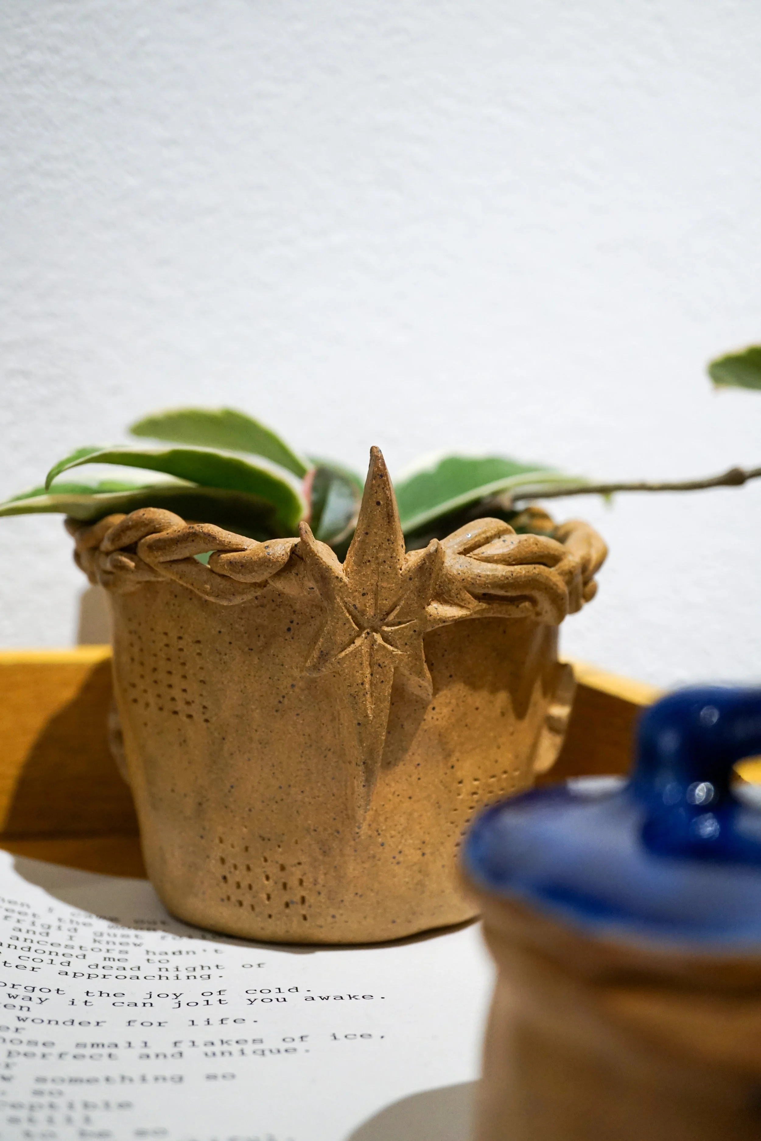 DSC03091.jpg