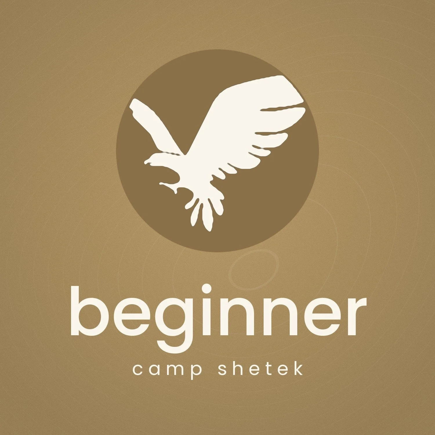 Camp #4 - Beginner Camp