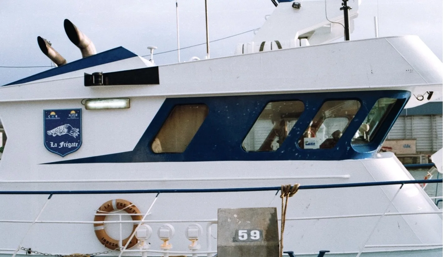 Donovan - Dir by Théo Gaye & Lucie Wiart