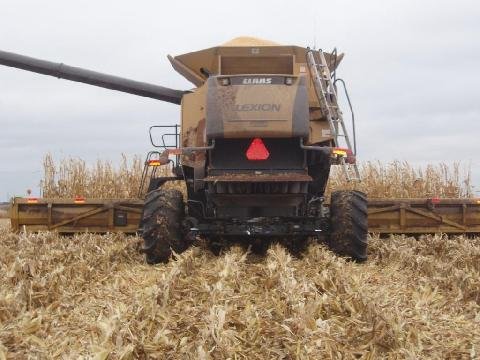 480_week_6_combine_rear.jpeg