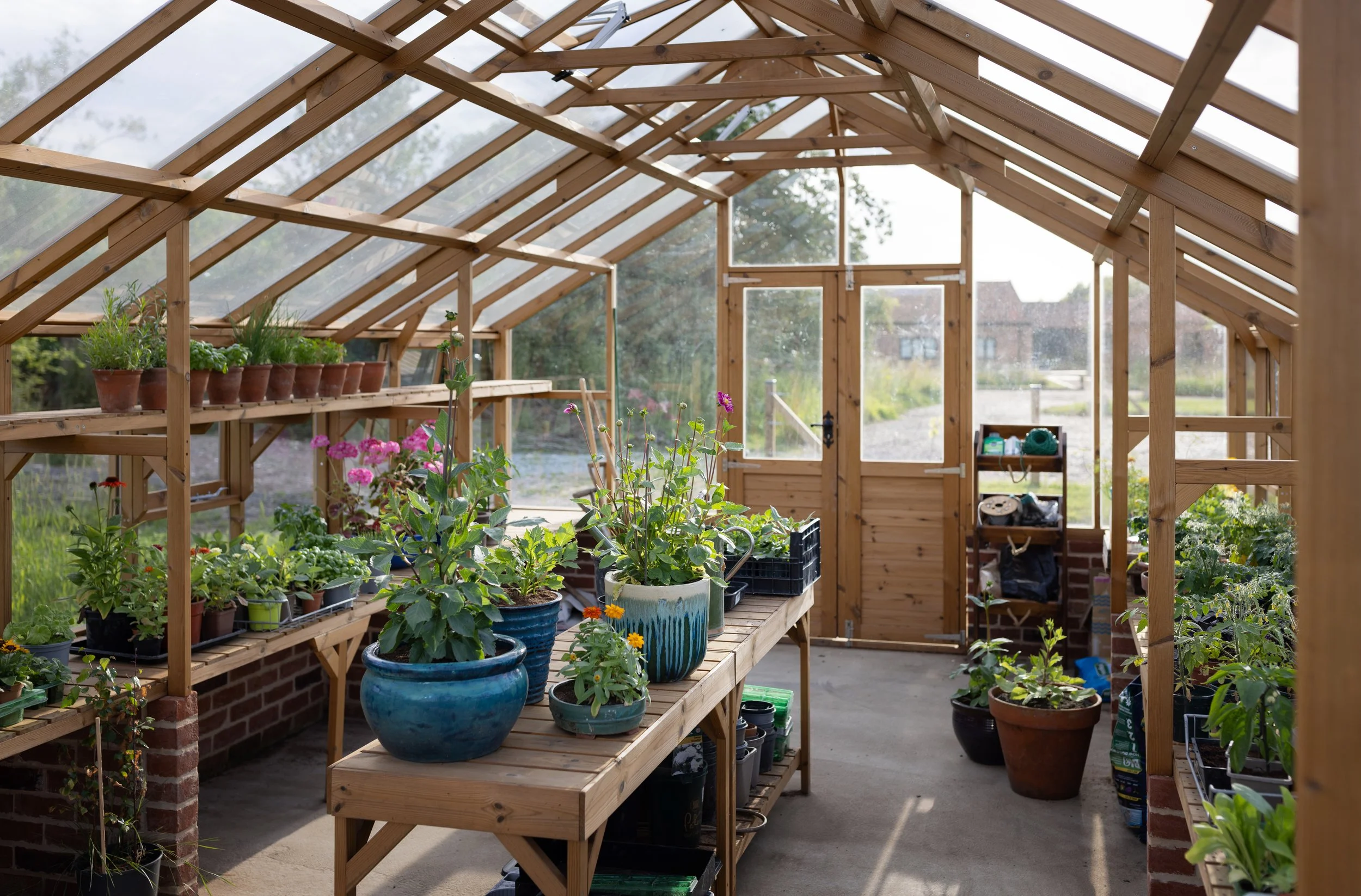 Greenhouse at Husk.jpg