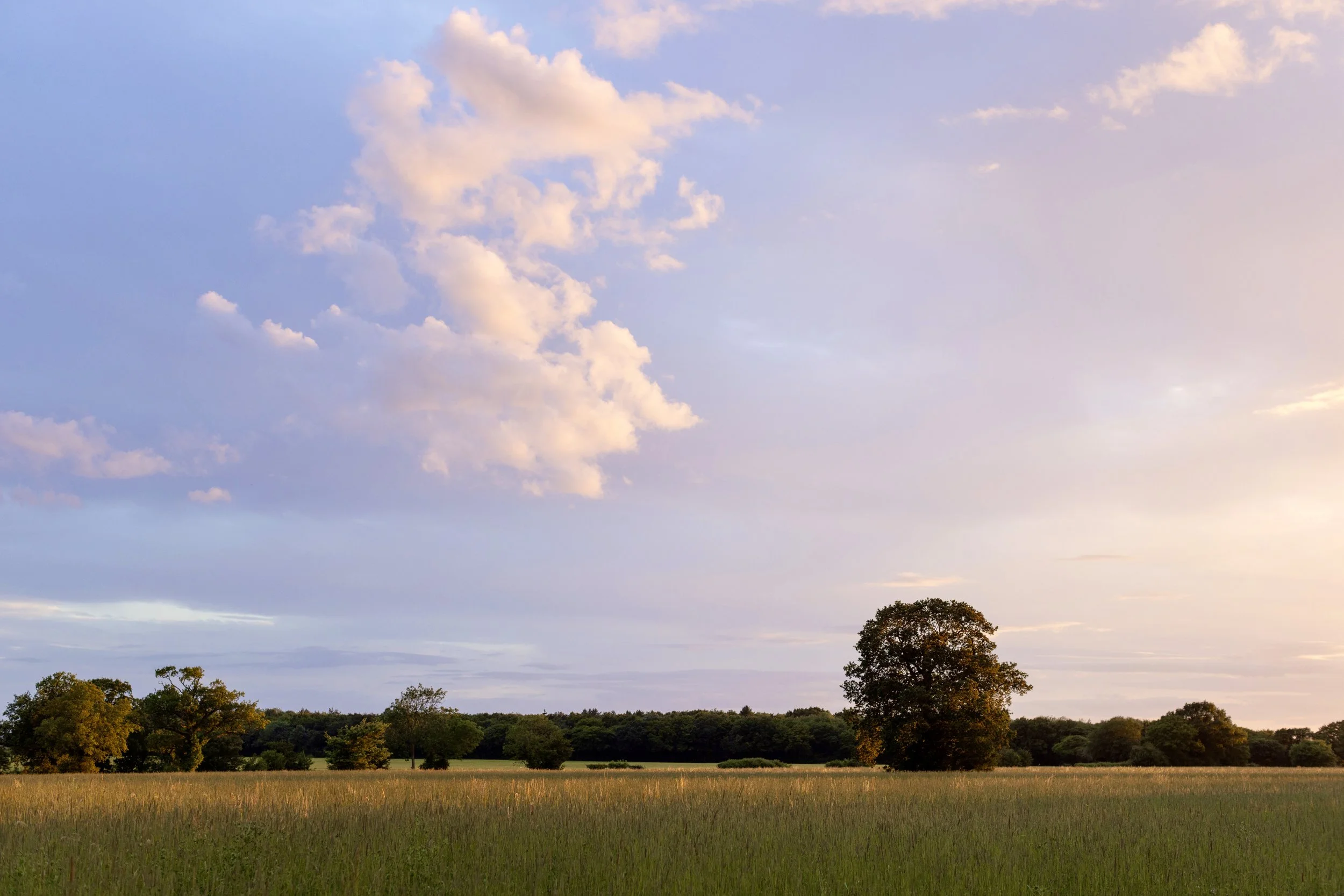 The Summer Cabin_view.jpeg