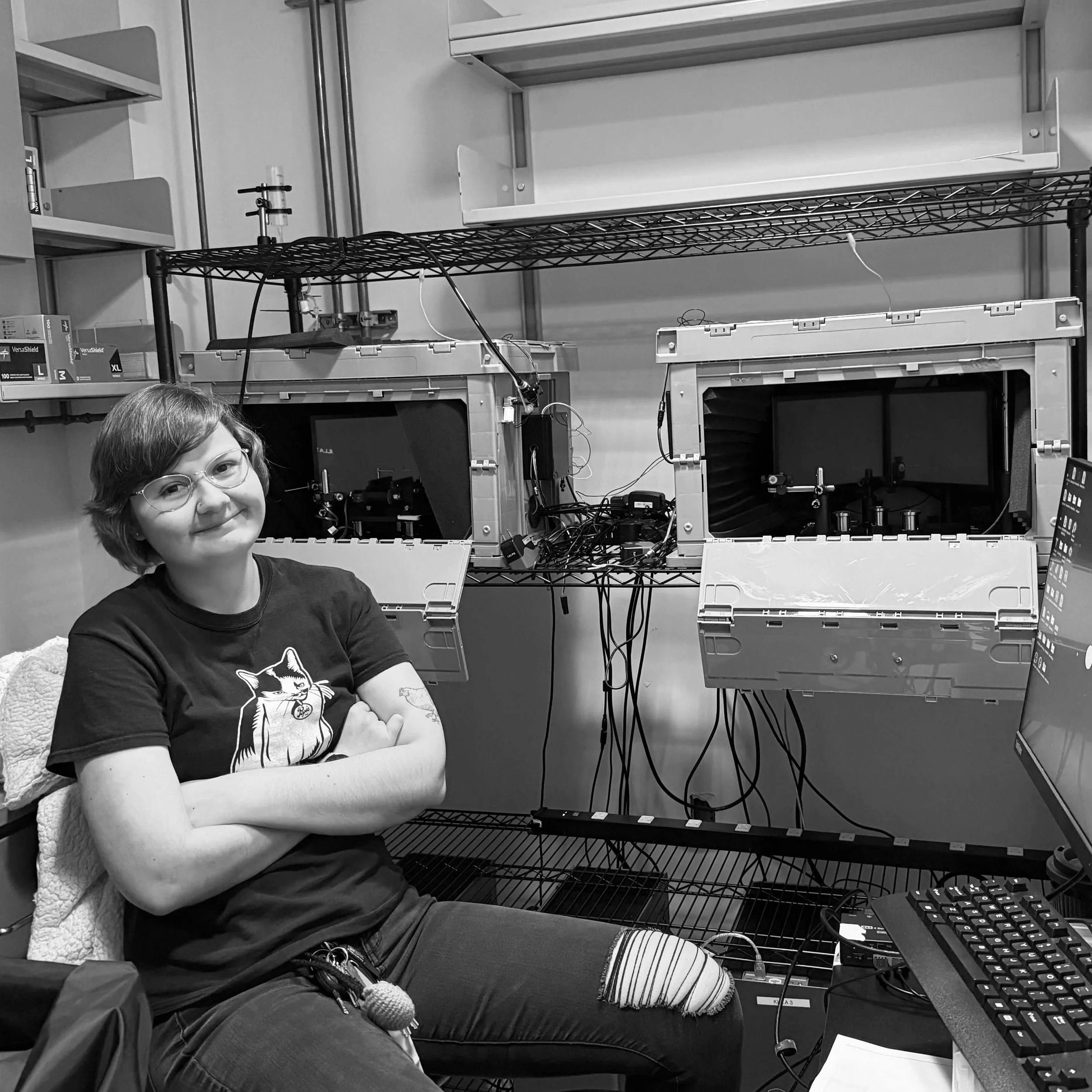 Building virtual realities for mice!