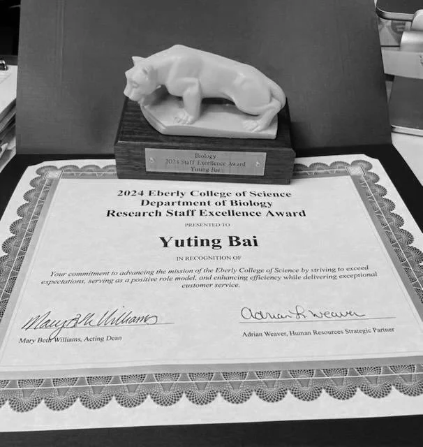 Yuting's Research Staff Excellence Award