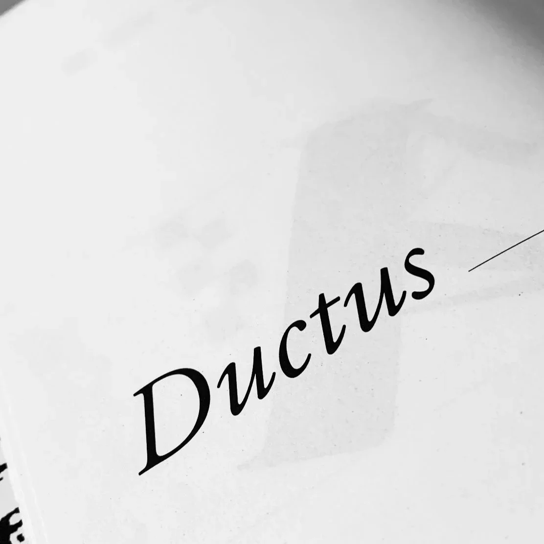 DUCTUS.jpg