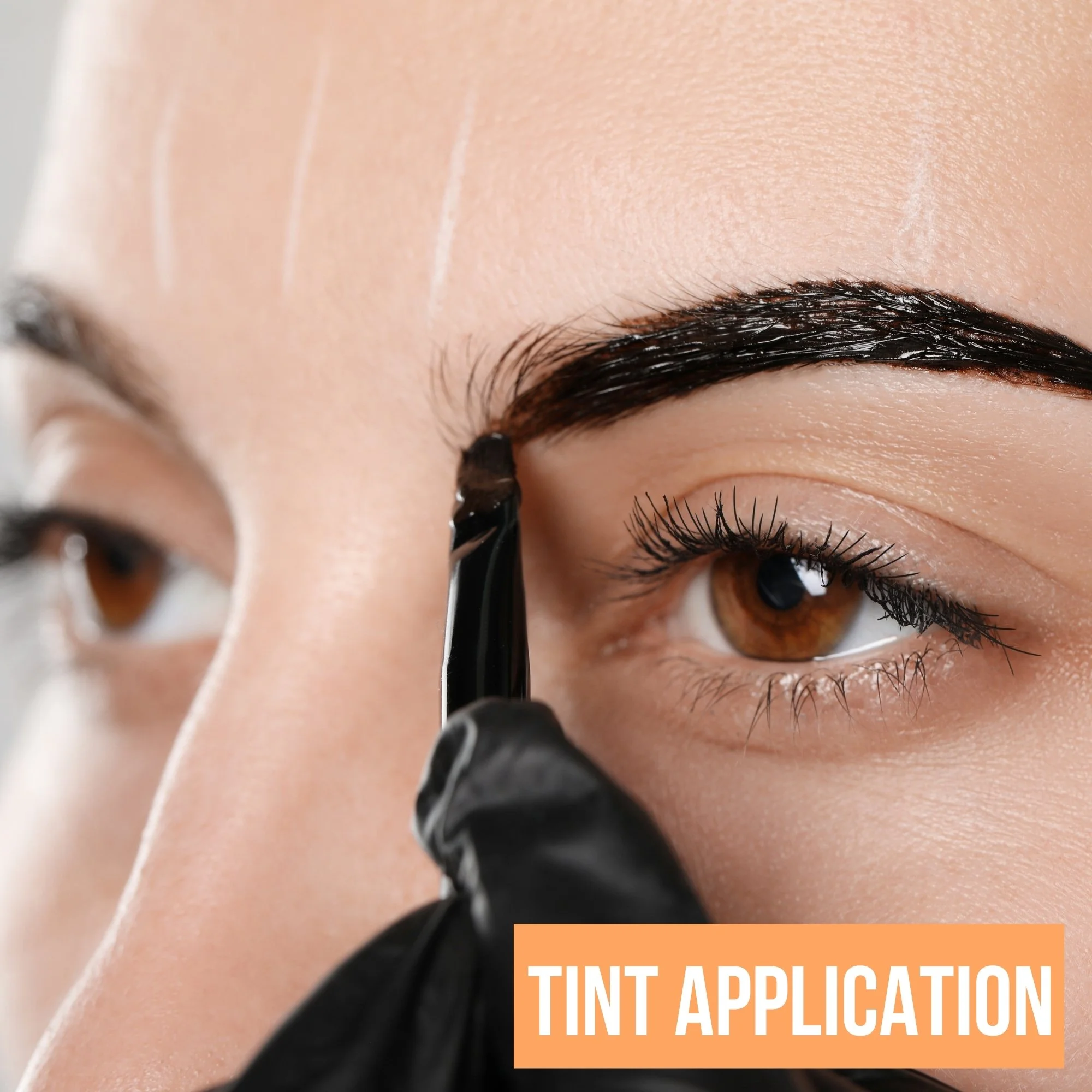 Step-by-Step Process Infographic (1).jpg