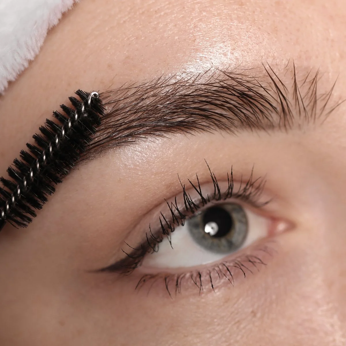 Lone Tree Brow and Lash Services: Professional Tinting, Shaping &amp; Lash Lifts