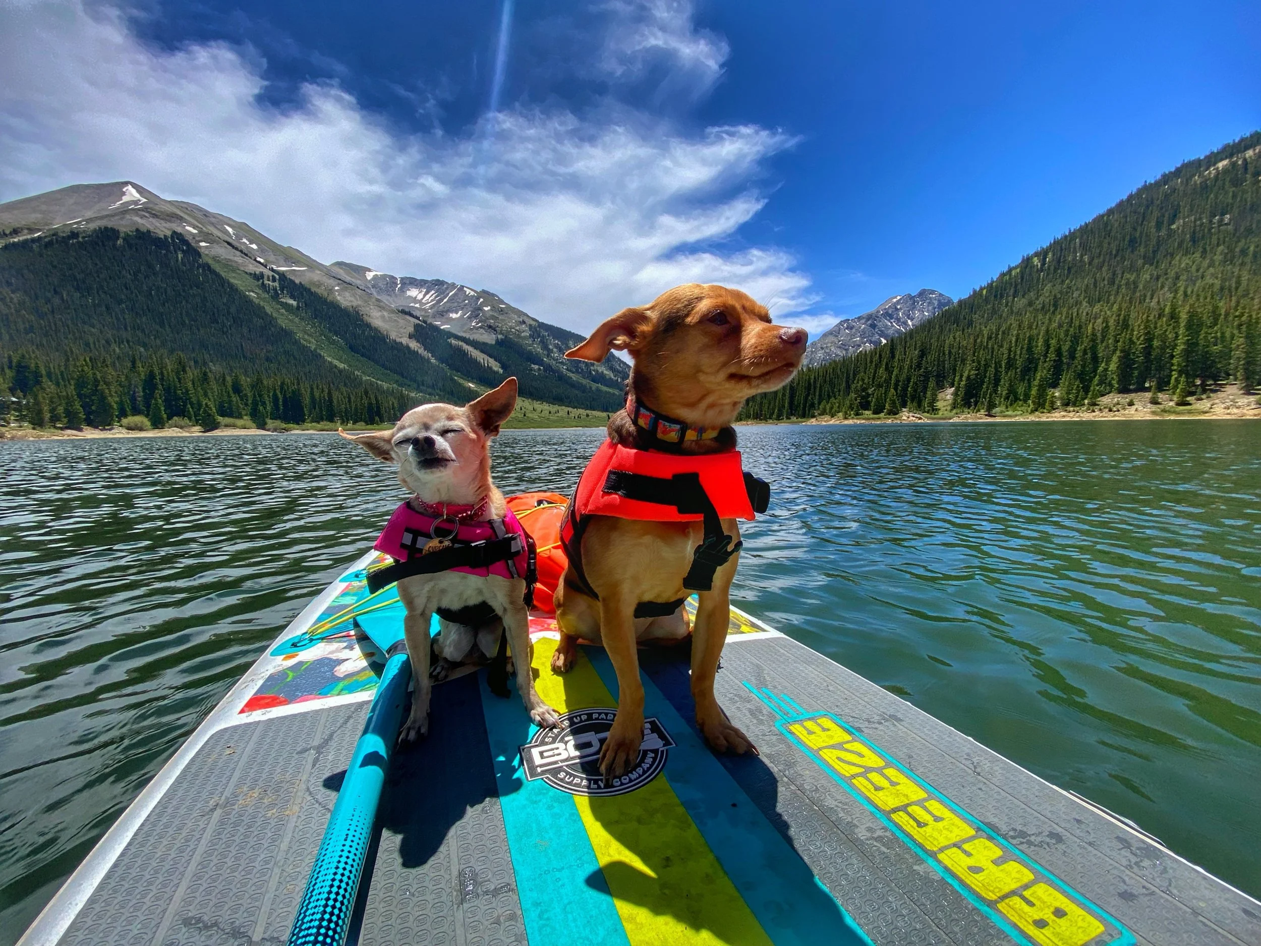 wallpaper - Brooke Hull.jpg