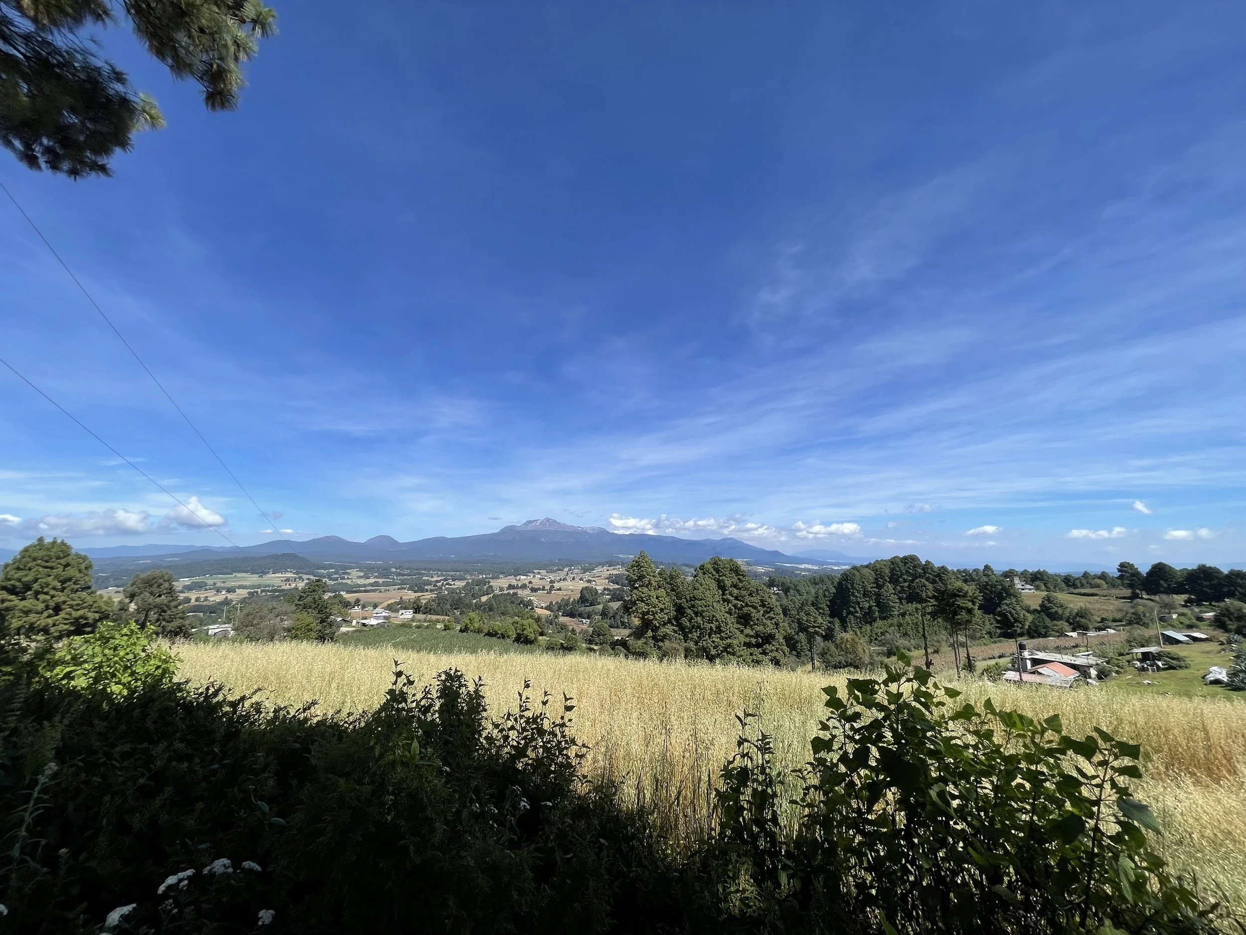 IMG_3515 - Dulce Carbajal.jpeg