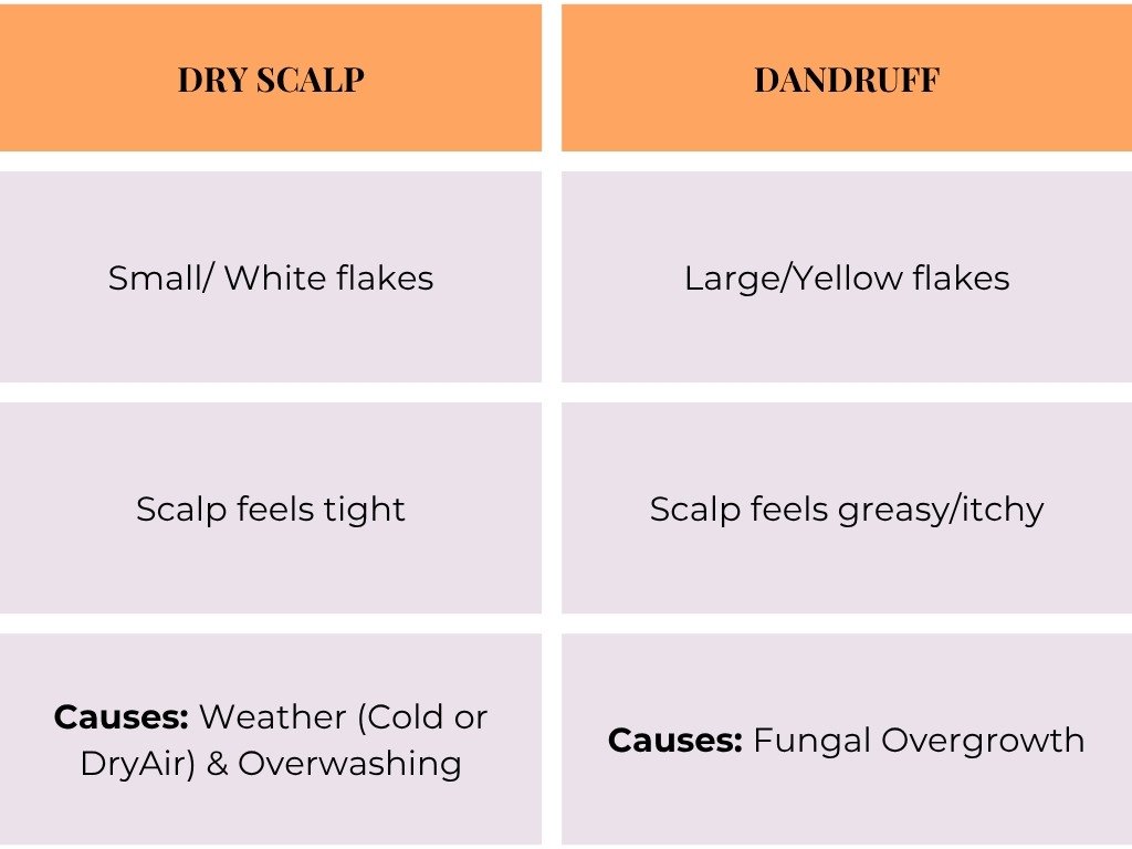 Chart explaining the difference between dry scalp and dandruff symptoms