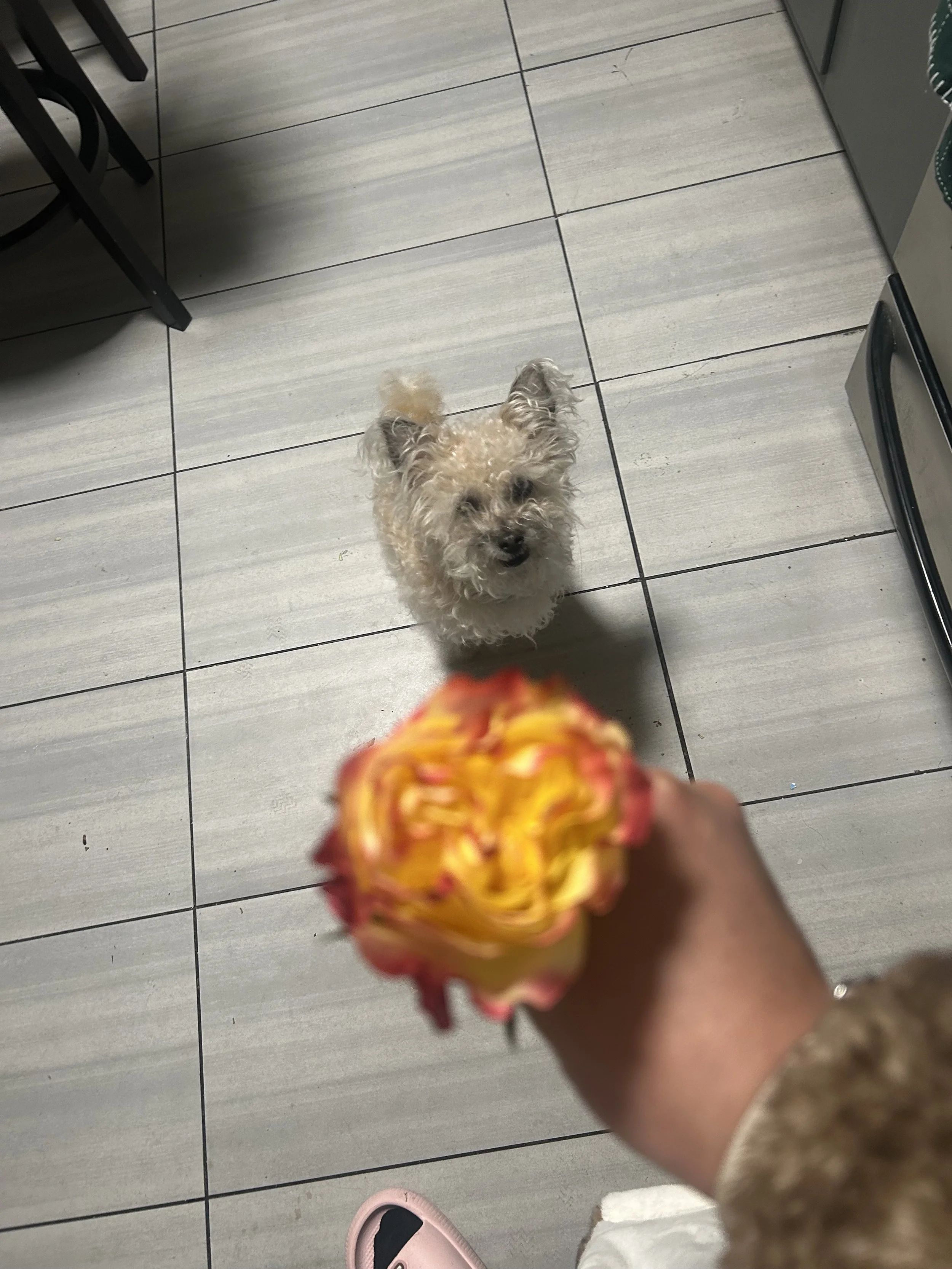 IMG_3543 - Katerin Urias.jpeg